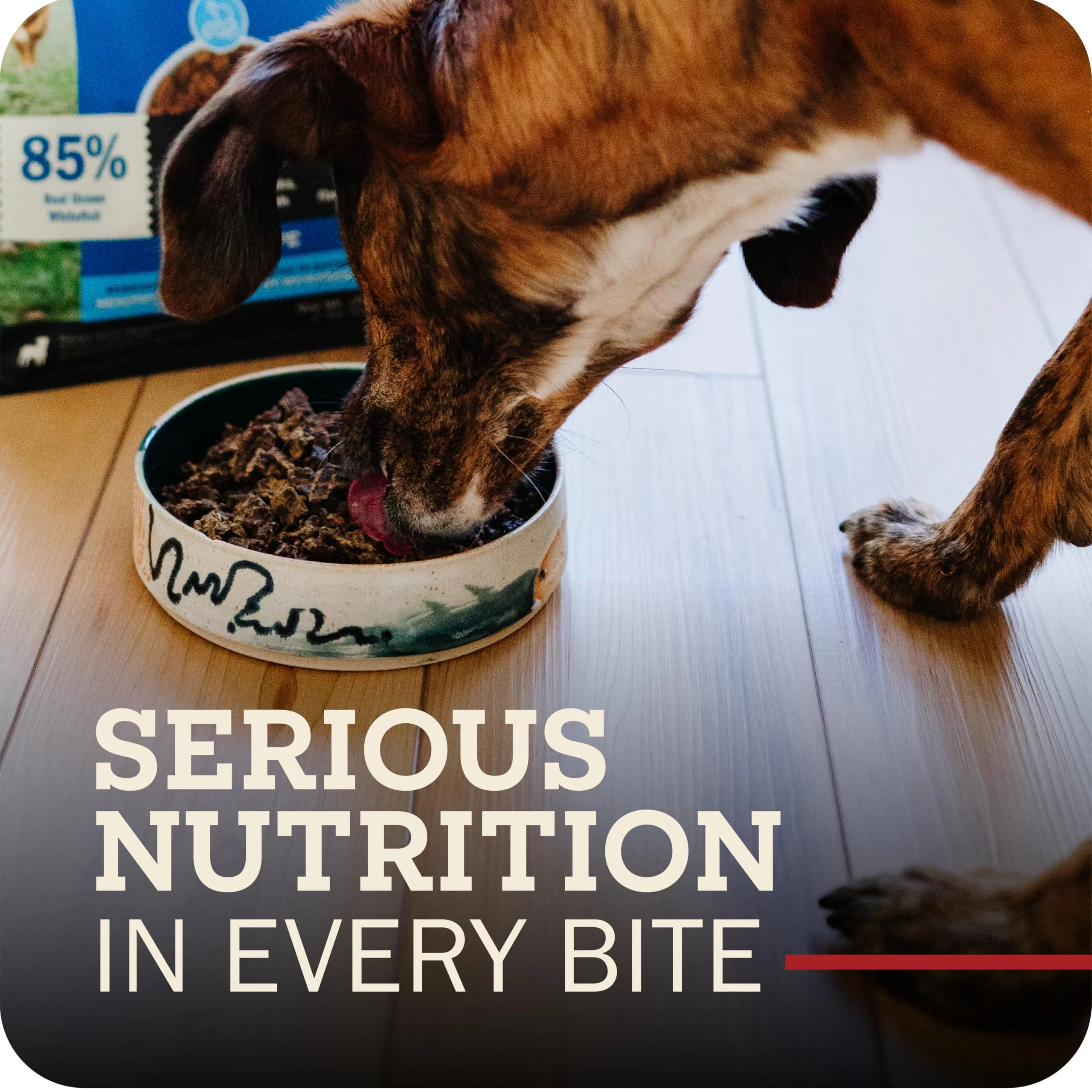 Redbarn Powerfood Air Dried Dog Food for Small Breeds - 91% Chicken & Chicken Organs with Blueberries - High Protein Dry Full Feed or Topper Made in USA for Picky Eaters - 2lb - Image 12