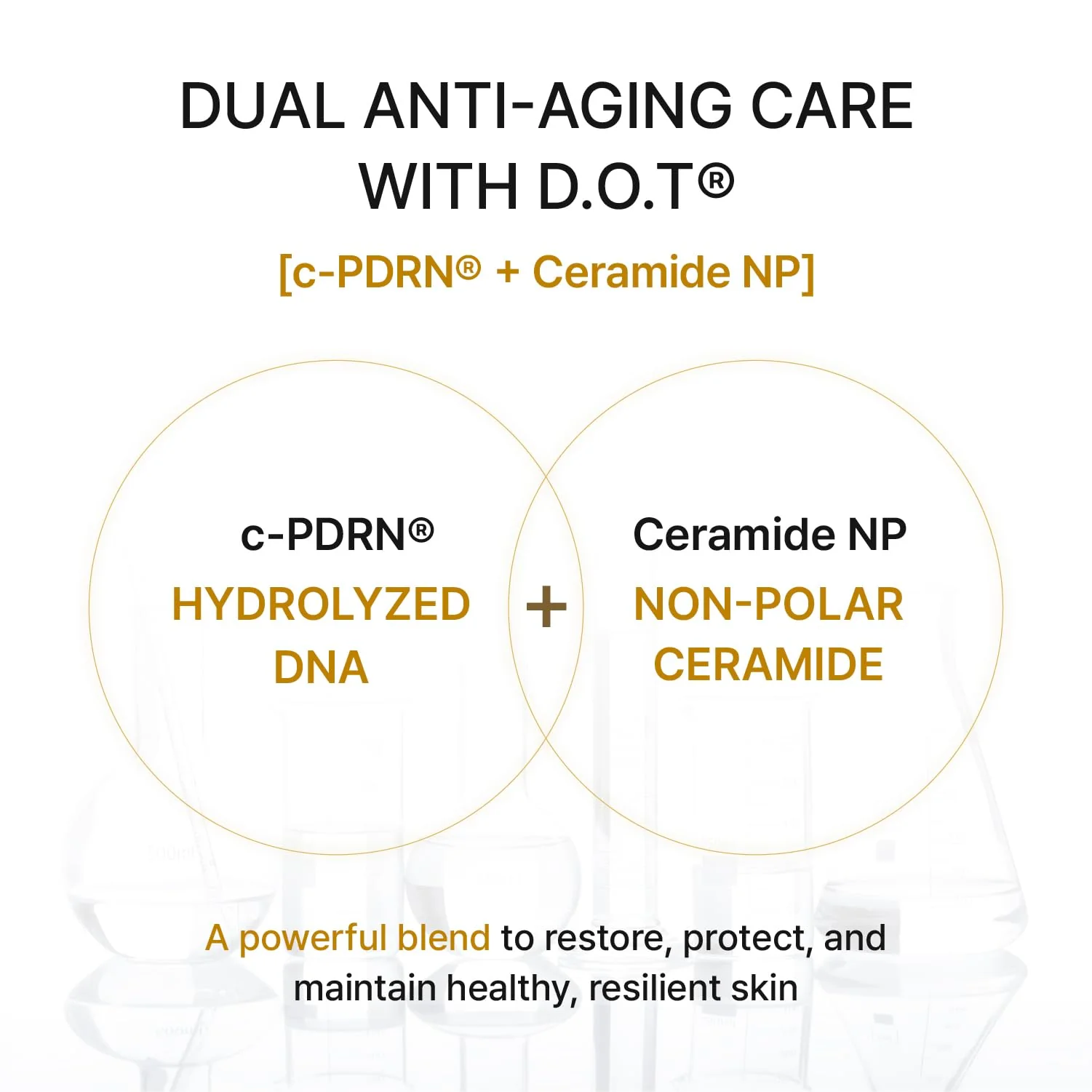 REJURAN® Dual Effect Ampoule, DOT DUAL c-PDRN® - Salmon DNA Face Serum for Deep Rejuvenation, Wrinkle Care, Firming, Skin Elasticity with Visible Anti-Aging Results. Korean Skincare (1.01 fl oz) - Image 12