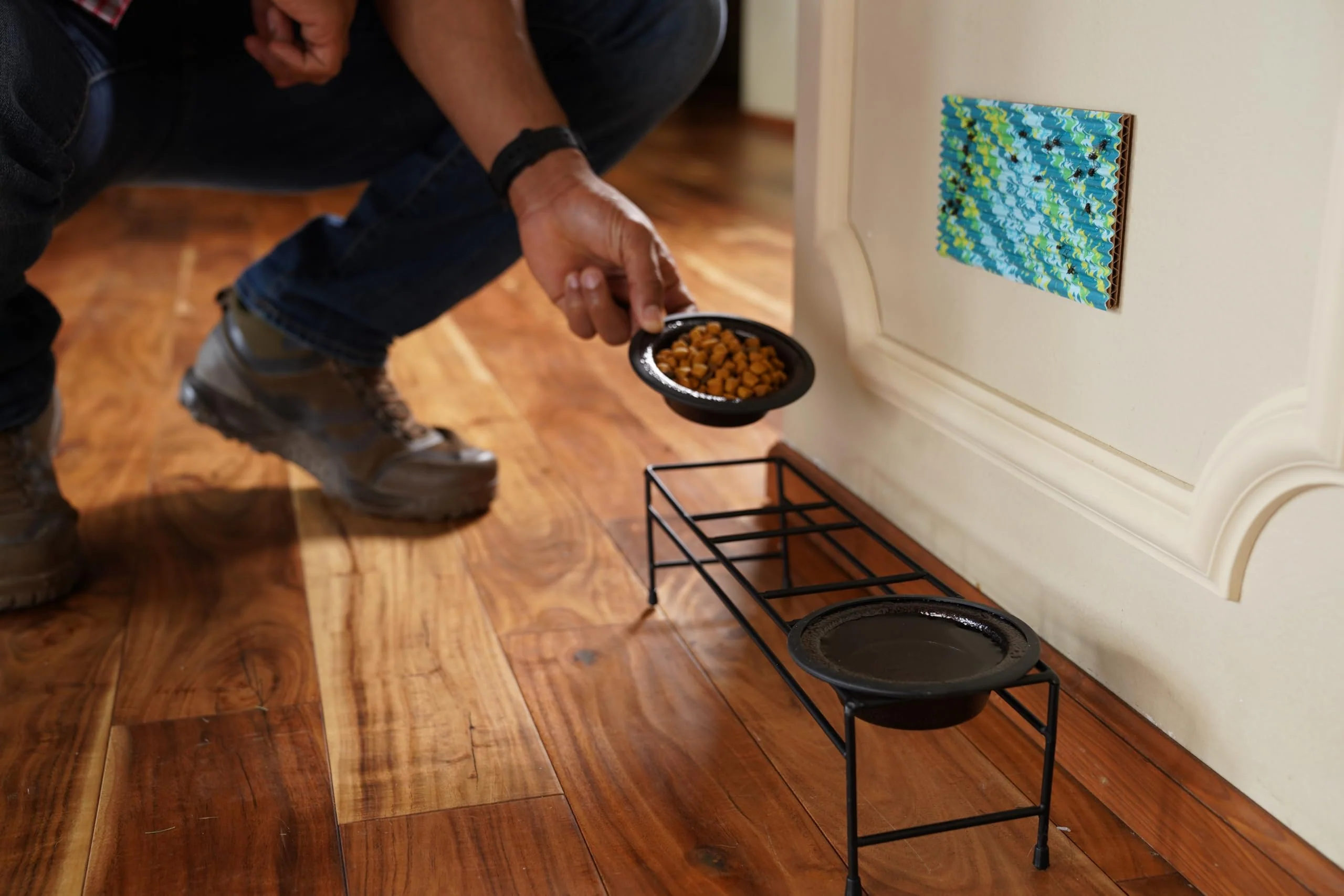 RESCUE! FlyPad – Sticky Fly Traps for Indoor & Outdoor Use - 2 Traps - Image 3