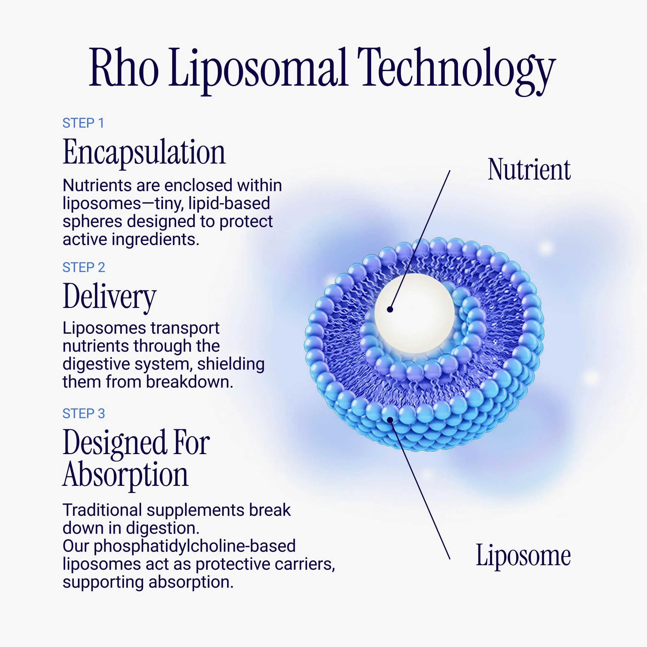 Rho Nutrition Liposomal NAD+ – Liquid Supplement Designed to Help Support Absorption – Active Form of NAD+ Helps Support Normal Cellular Health, Healthy Aging, Energy Metabolism and Overall Vitality - Image 3