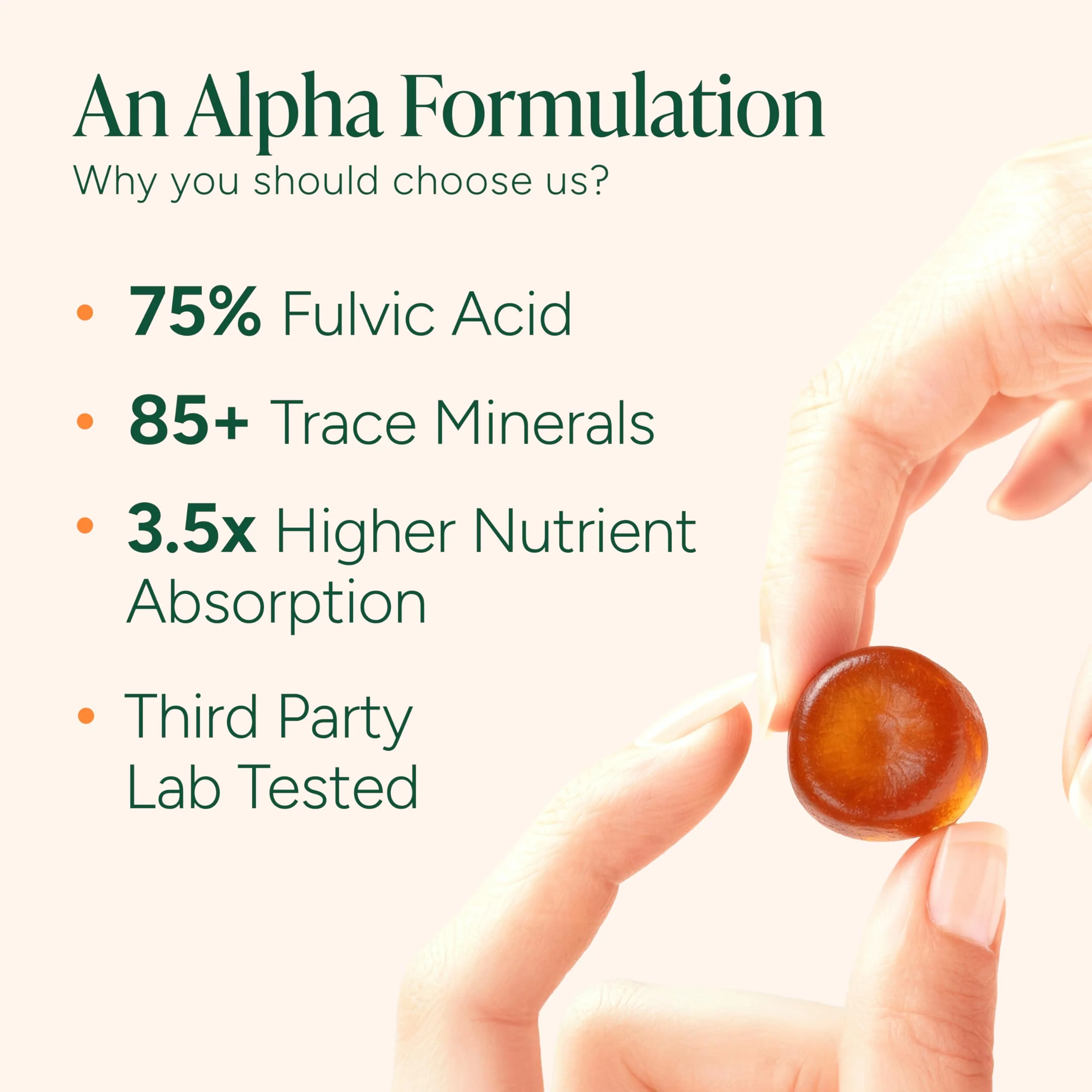 ROOT LABS 10-in-1 Alpha Shilajit Gummies | 4000 mg Pure Himalayan Shilajit with Tongkat Ali & Maca Root | for Men & Women | ShilAbsorb Bioavailability Tech | Sugar-Free, Vegan | 60 Gummies - Image 7