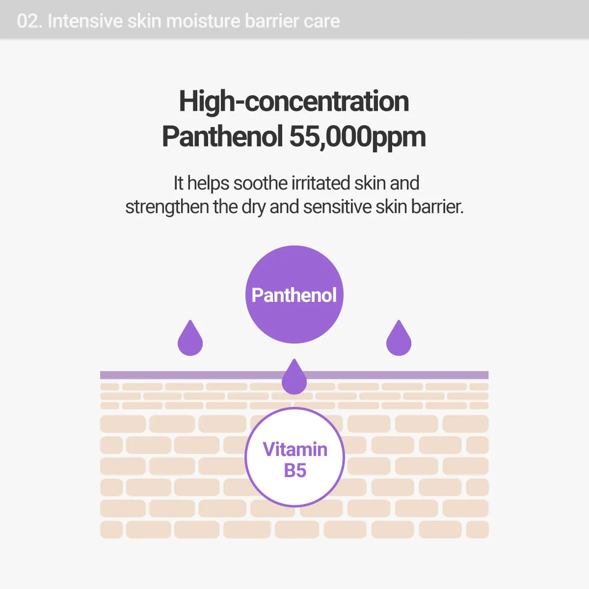 ROVECTIN Barrier Repair Moisturizing Cream - Intense Panthenol Cream for Face and Body | Ceramide Lotion Moisturizer | Anti-Aging with Astaxanthin | Hypoallergenic, Vegan, Korean Skincare (6.1 fl oz) - Image 6