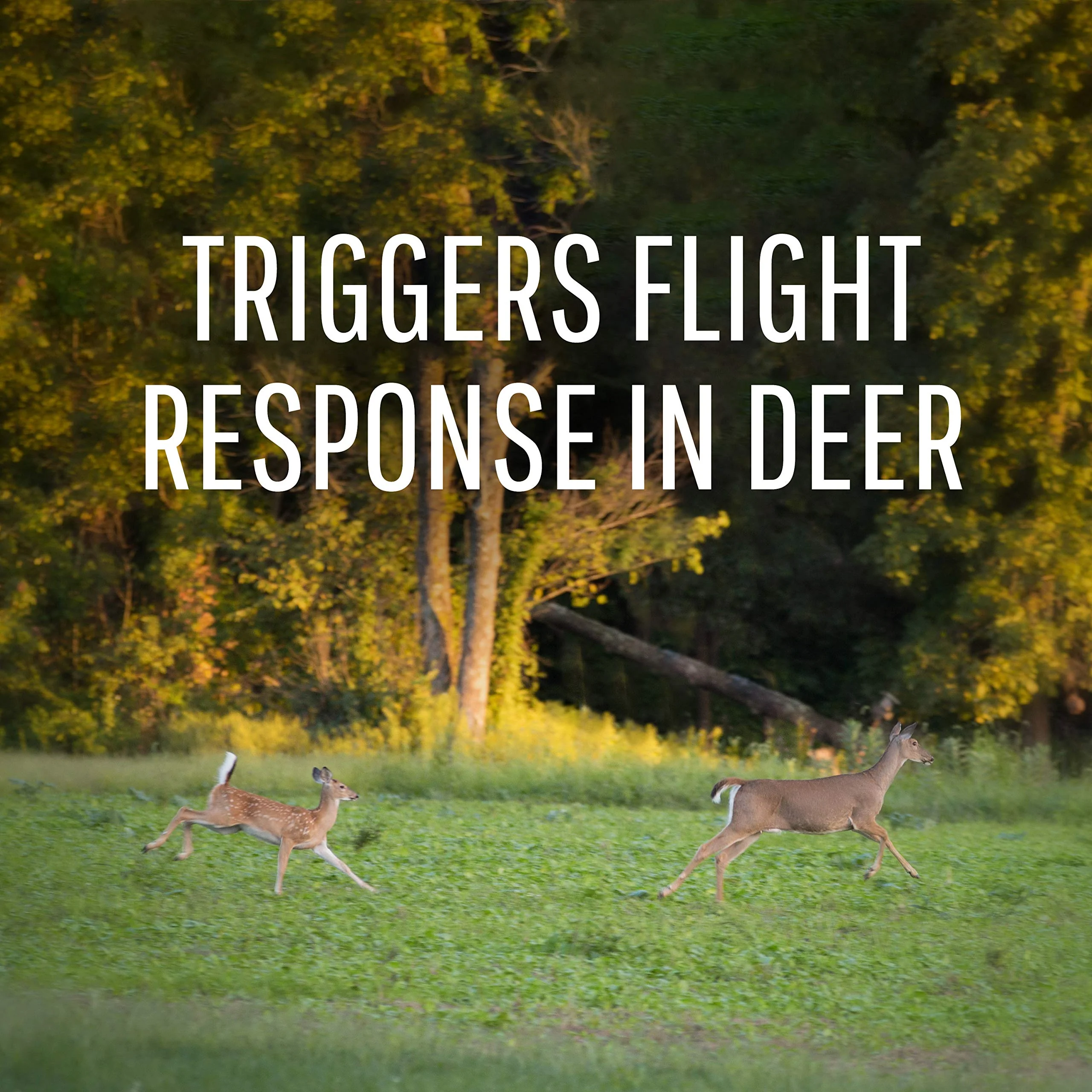 Safer Brand Deer-Off Deer Repellent Stations - 6 Waterproof Repelling Stakes for Gardens and Lawns - All Season Protection - 5962 - 6 Pack - Image 6