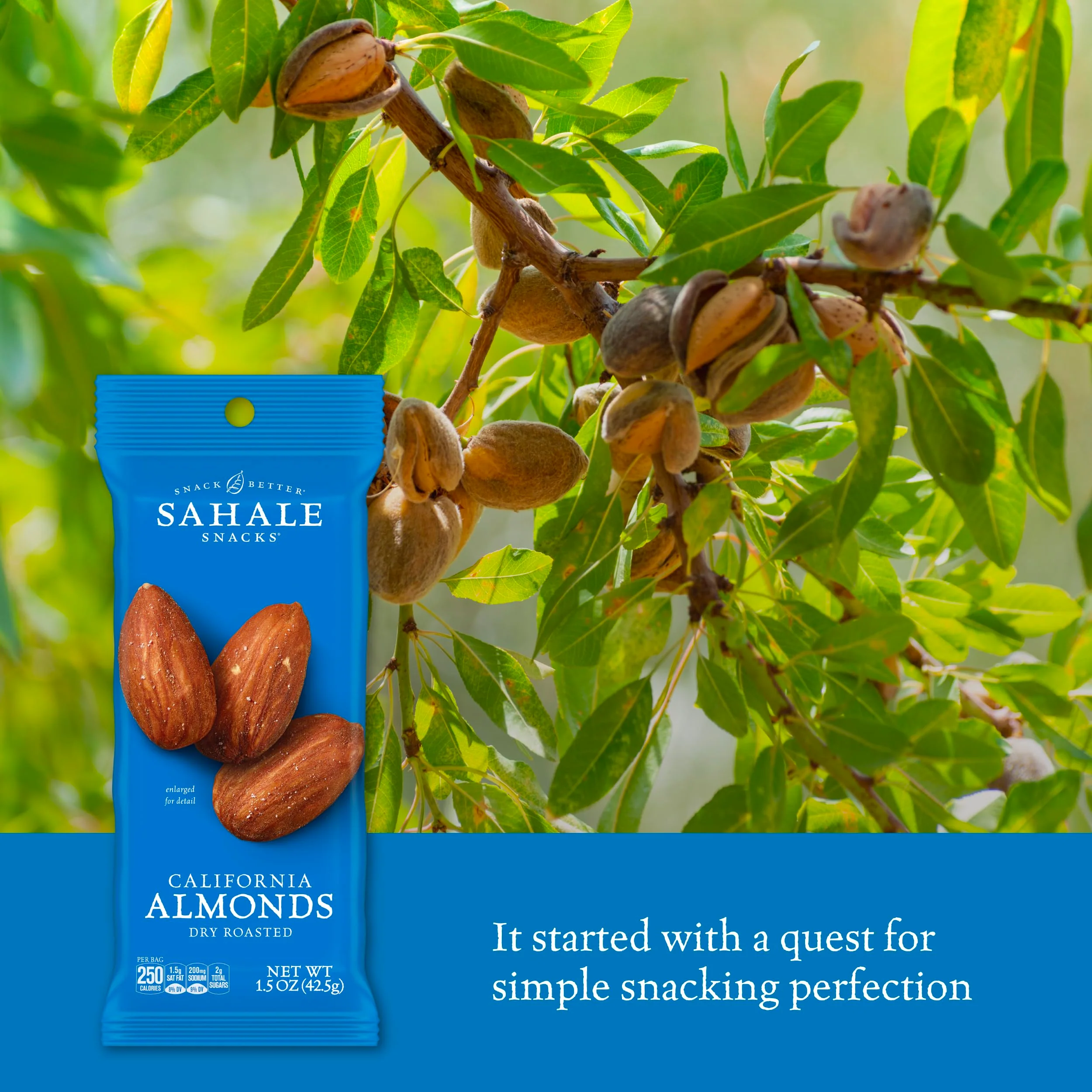 Sahale Snacks California Dry Roasted Almonds, 1.5 oz Grab & Go Bags (18 Packs) - Dry-Roasted Almonds with a Touch of Sea Salt - Non-GMO, Kosher, & Certified Gluten-Free Snacks - Image 6