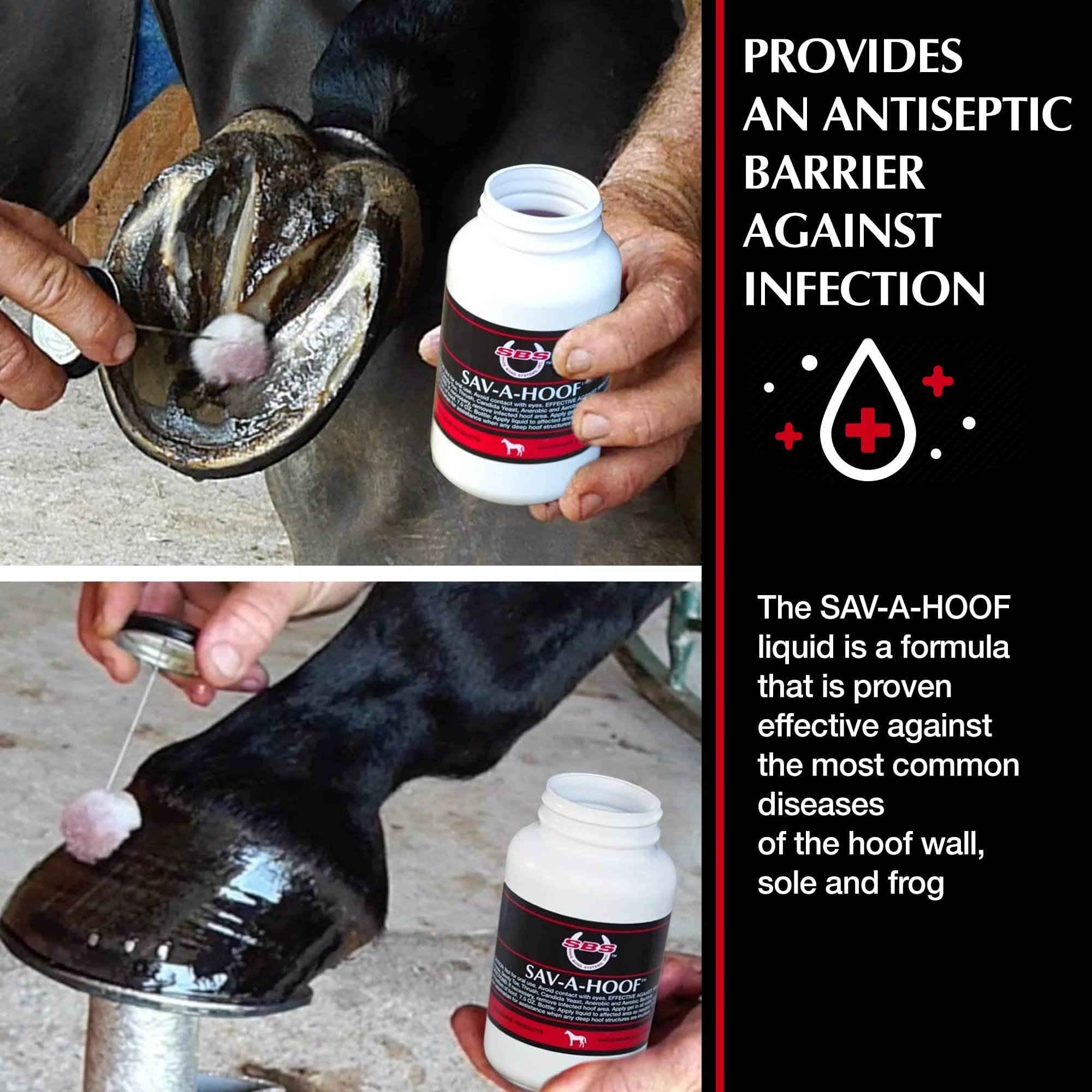 SBS Equine Treatment Against Hoof Illness in Horses | Built-in Dauber Applicator | Treat Entire Hoof (7.5 Fluid Oz) - Image 7