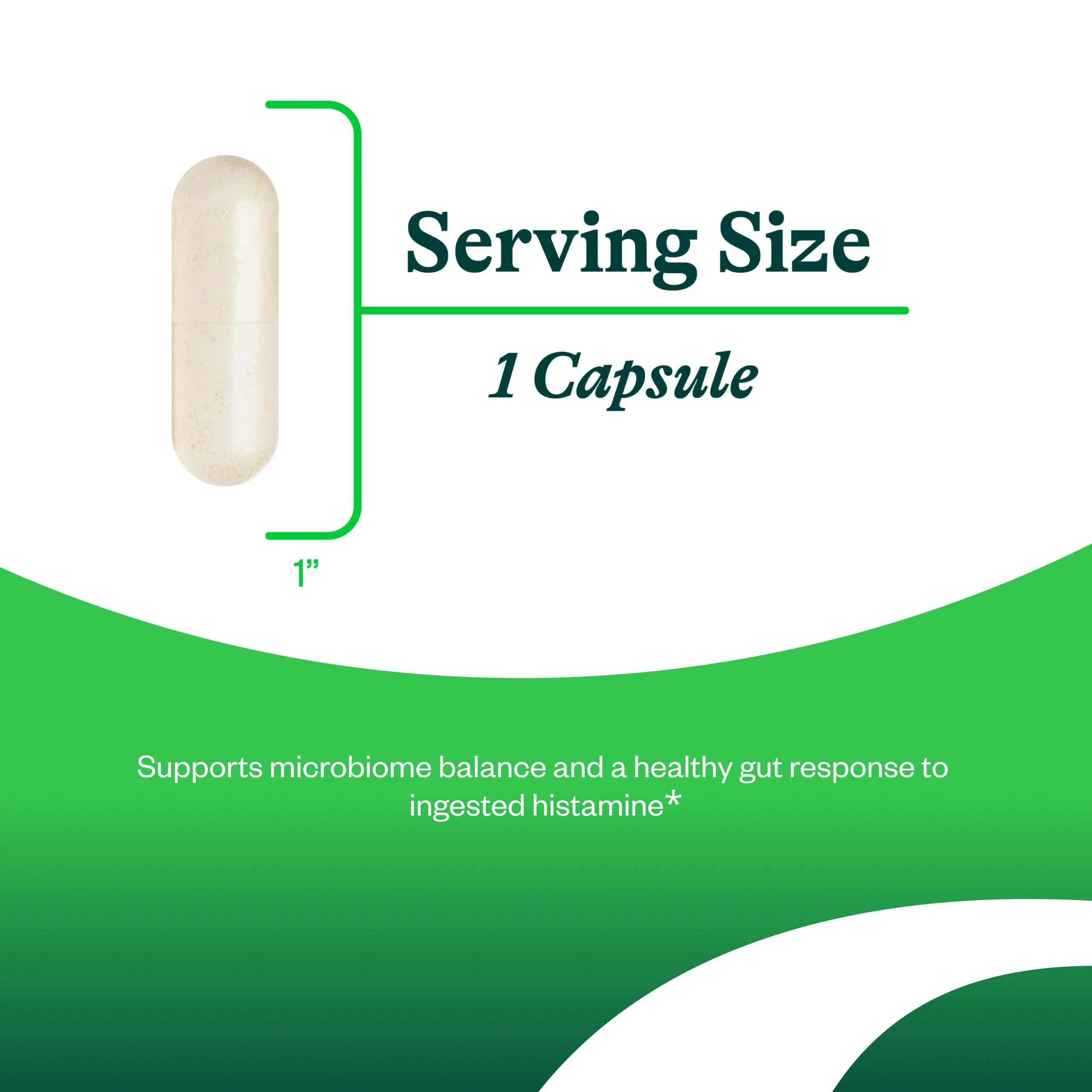 Seeking Health ProBiota HistaminX - Digestion Supplement for Gut Health Support - Support Histamine with Lactobacillus Plantarum & Lactobacillus Salivarius - Support Immune & Skin Health - 60 Capsules - Image 4