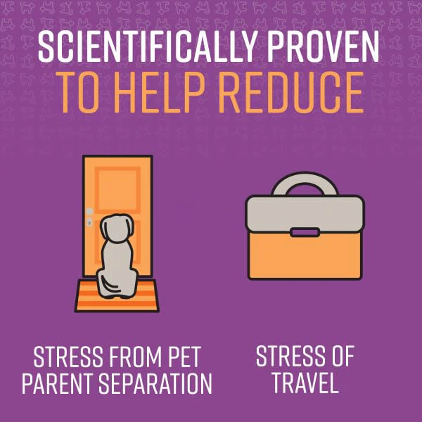 Sentry PET Care Sentry Calming Spray for Dogs, Uses Pheromones to Reduce Stress, Easy Spray Application, Helps Dogs with Separation, Travel, Loud Noises, and Anxiety, Packaging May Vary - Image 6