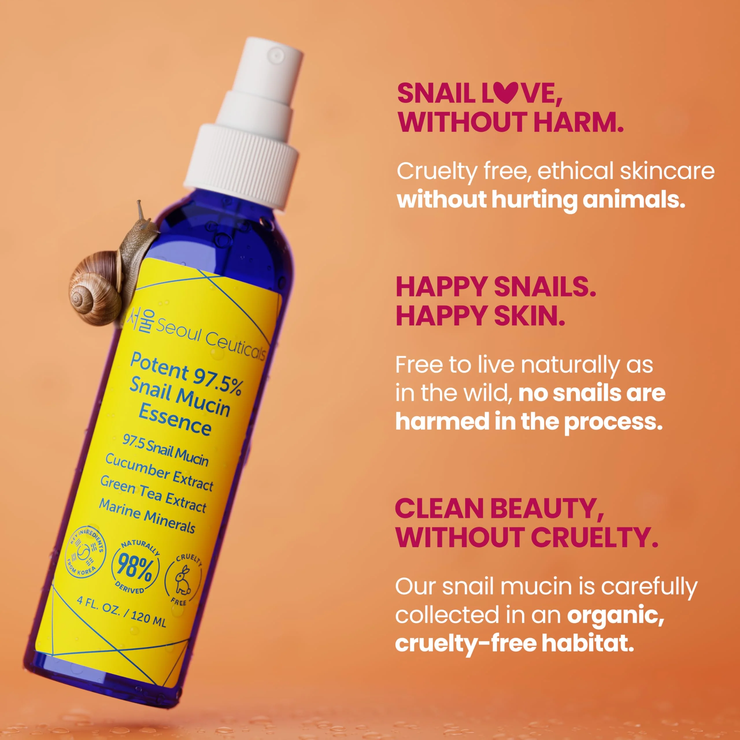 SeoulCeuticals Korean Face Mist 97.5% Snail Mucin Essence - K Beauty Skincare Facial Spray - Cucumber Extract + Marine Minerals + Green Tea + Aloe 4oz - Image 6