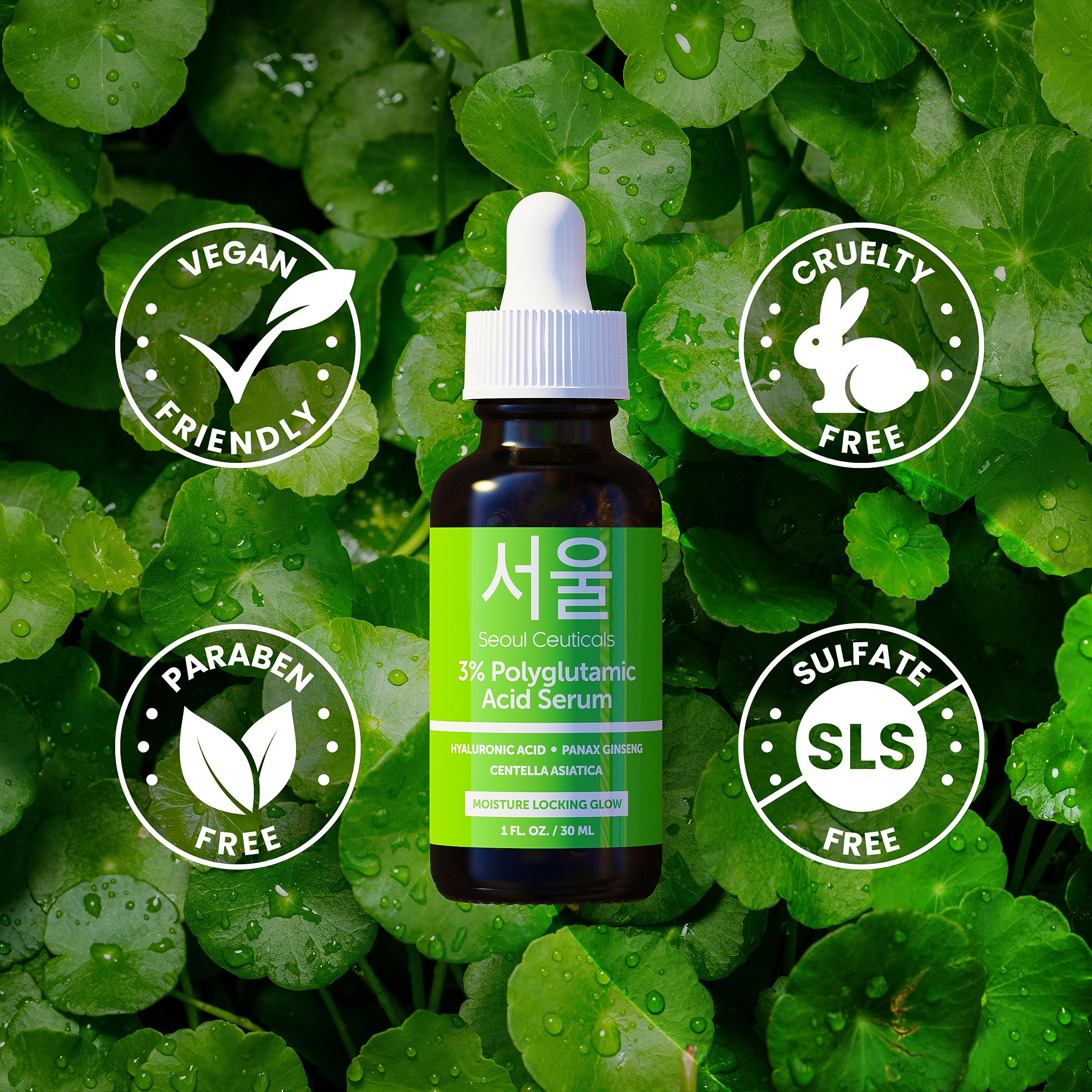 SeoulCeuticals Organic Polyglutamic Acid Serum - Korean Skin Care + Hyaluronic Acid + Centella Asiatica - K Beauty Anti Aging - Healthy Glowing Skin 1oz - Image 4