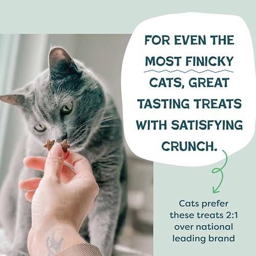 Shameless Pets Crunchy Cat Snacks & Treats – Healthy Cat Treats for Indoor Cats & Kittens with Catnip, Real Chicken & Digestive Support, Catnip N Chill (2.5 oz) - Image 7