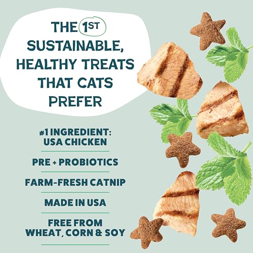 Shameless Pets Crunchy Cat Snacks & Treats – Healthy Cat Treats for Indoor Cats & Kittens with Catnip, Real Chicken & Digestive Support, Catnip N Chill (2.5 oz) - Image 8