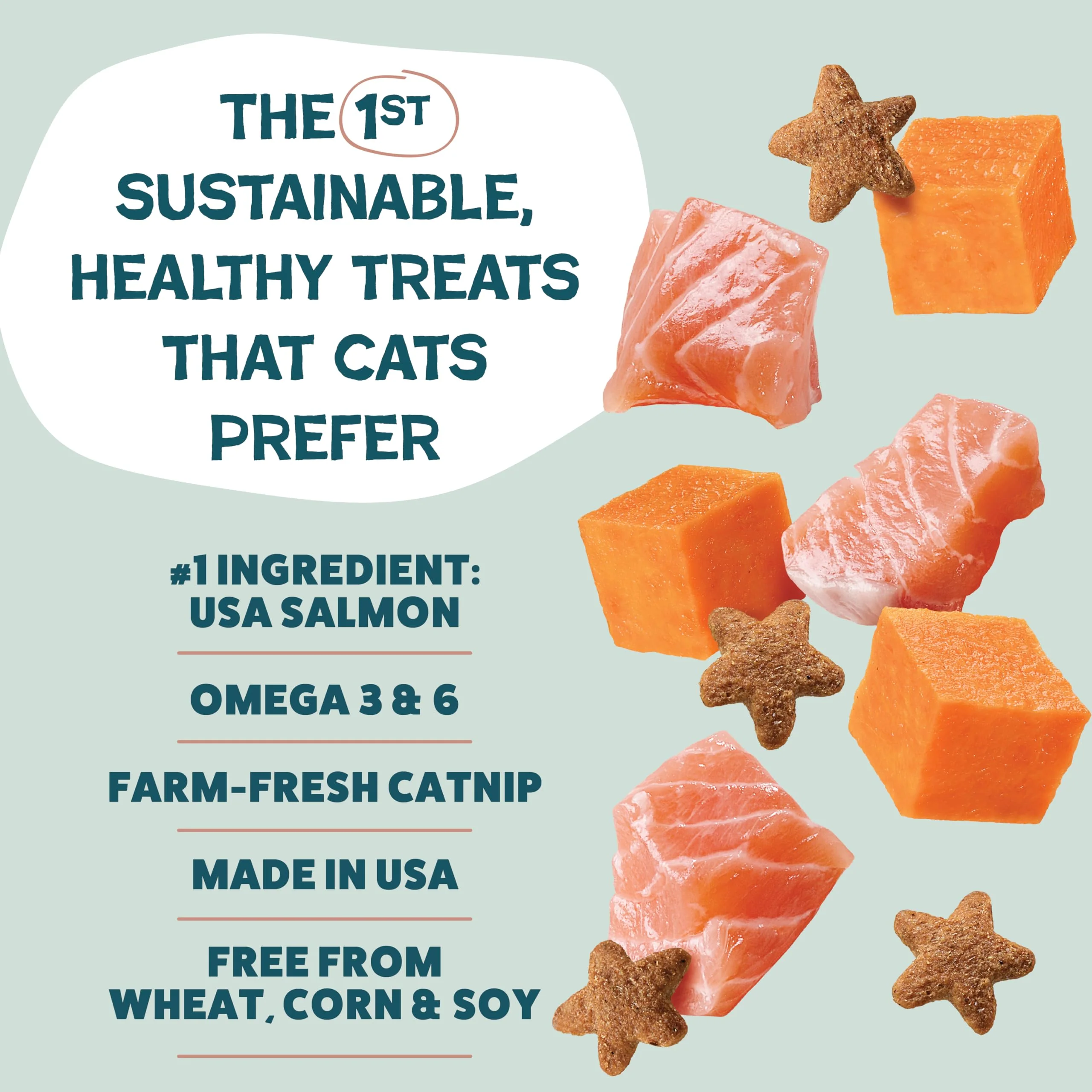 Shameless Pets Crunchy Cat Treats - Kitty Treats for Cats with Skin & Coat Support, Natural Ingredients Kitten Treats with Real Salmon, Healthy Flavored Feline Snacks - Yam Good Salmon, 1-Pk - Image 6