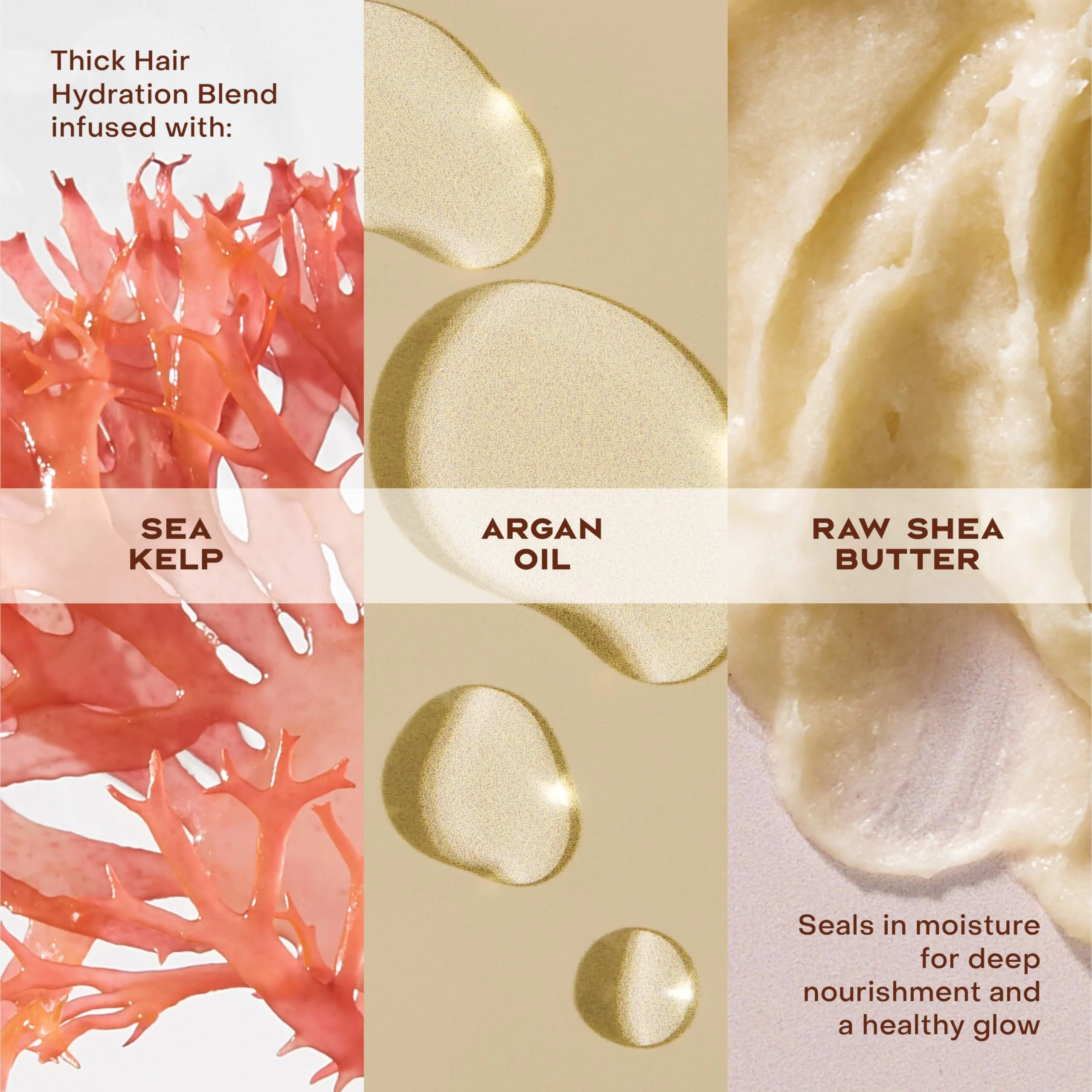 Shea Moisture Conditioner For Curly Hair Raw Shea Butter Restorative Deep Moisturizing Conditioner 13 Oz - Image 4