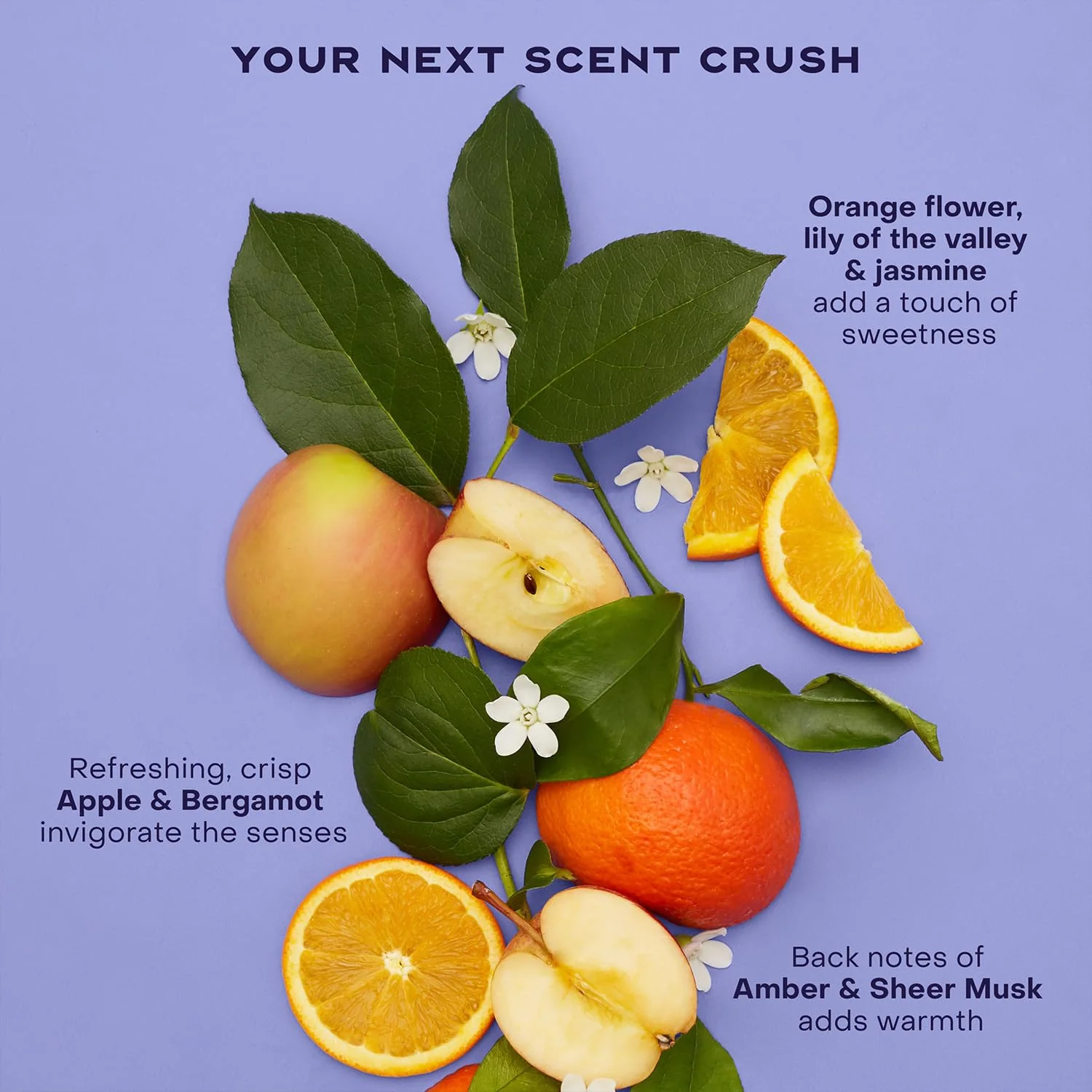 SheaMoisture Anti-Dandruff Shampoo & Conditioner + Scalp Repair & Hydrate Serum with Niacinamide, Shea Butter, 3% Salicylic Acid for Flakes & Itchy Scalp - Image 5