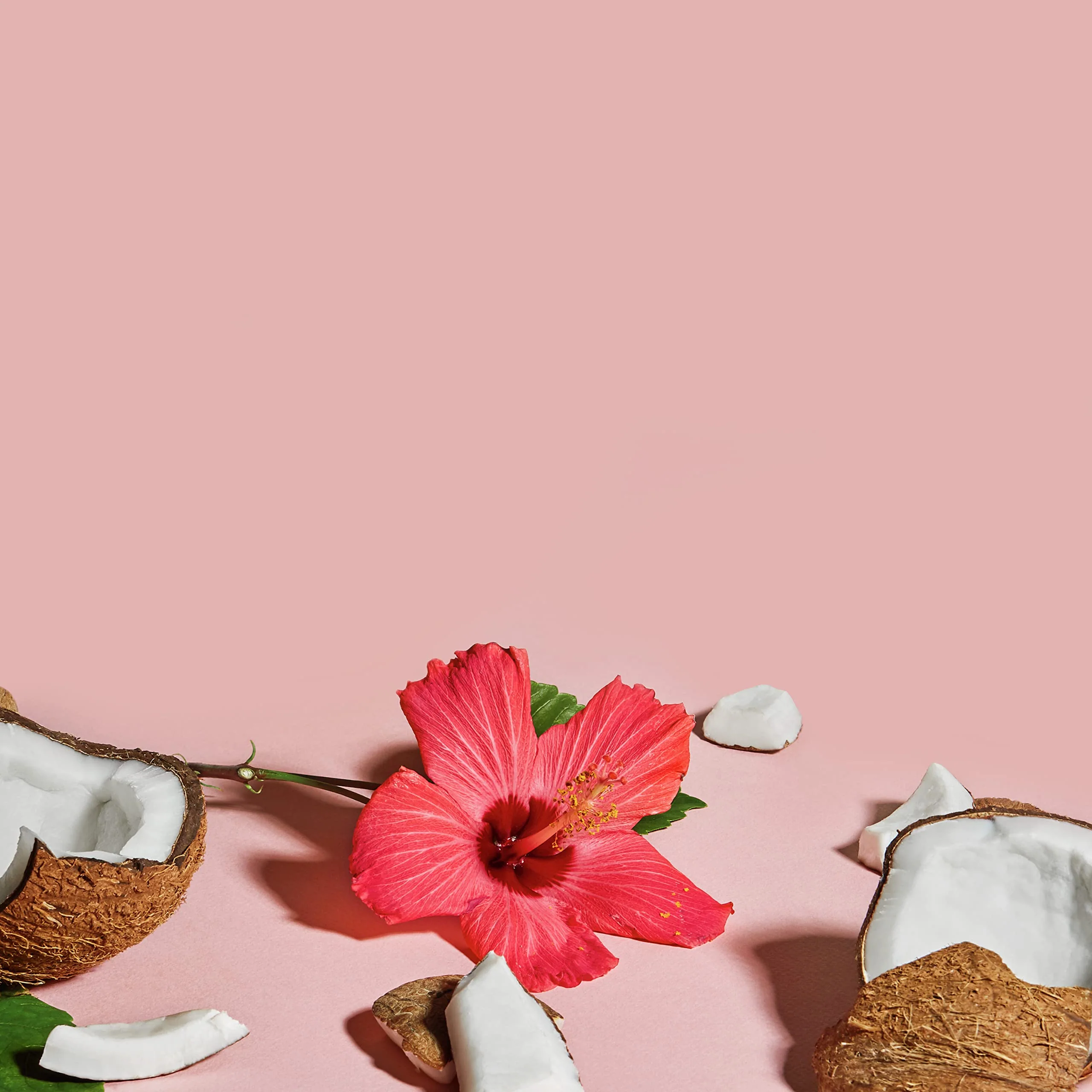 SheaMoisture Moisturize and Define Shampoo, Conditioner and Styling Milk for Curly Hair Care Coconut and Hibiscus with Shea Butter and Coconut Oil - Image 7