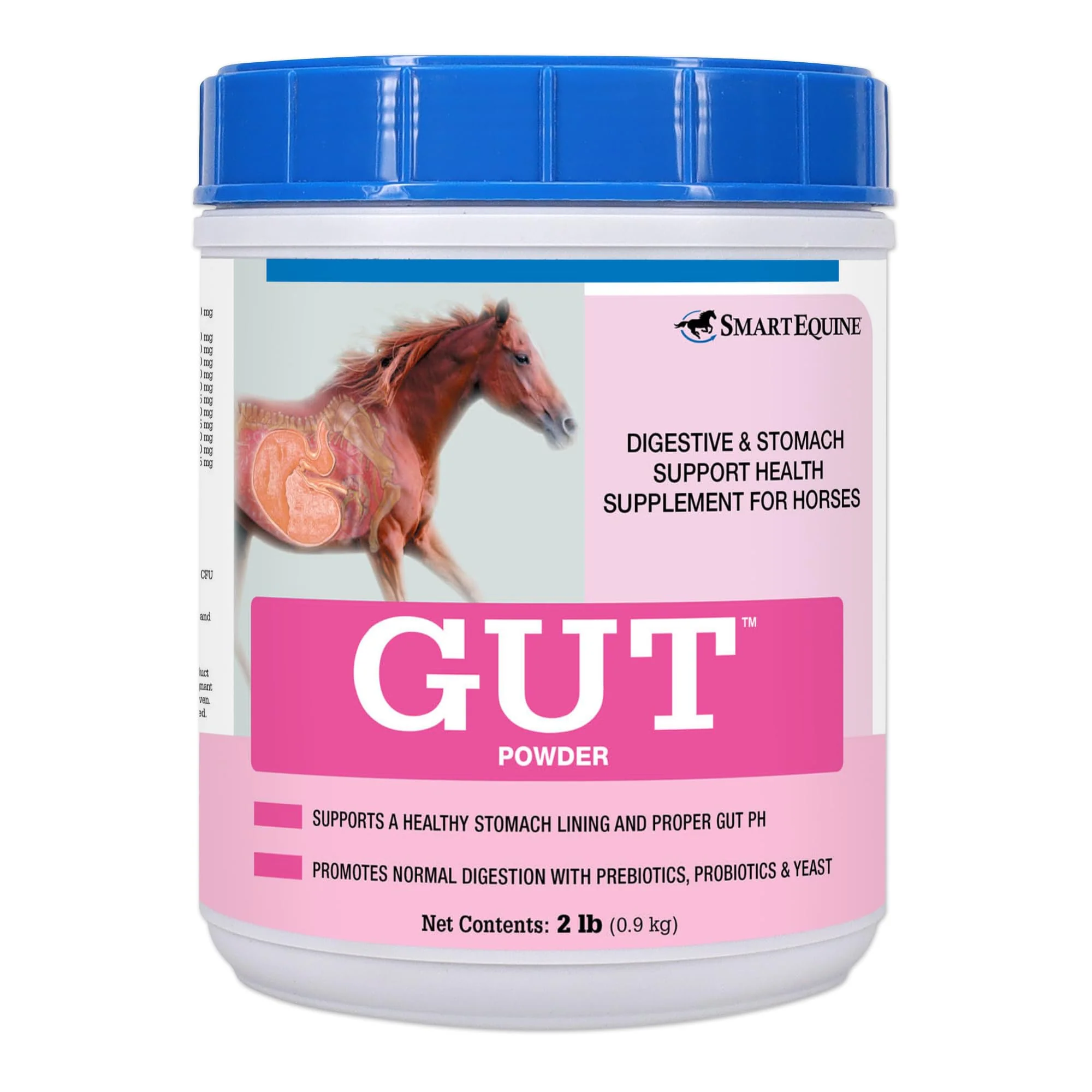 SmartEquine Gut™ Powder | Healthy Gut Probiotics for Horses | Equine Prebiotic & Probiotic Powder | Horse Stomach Supplement | 2 lb Bucket