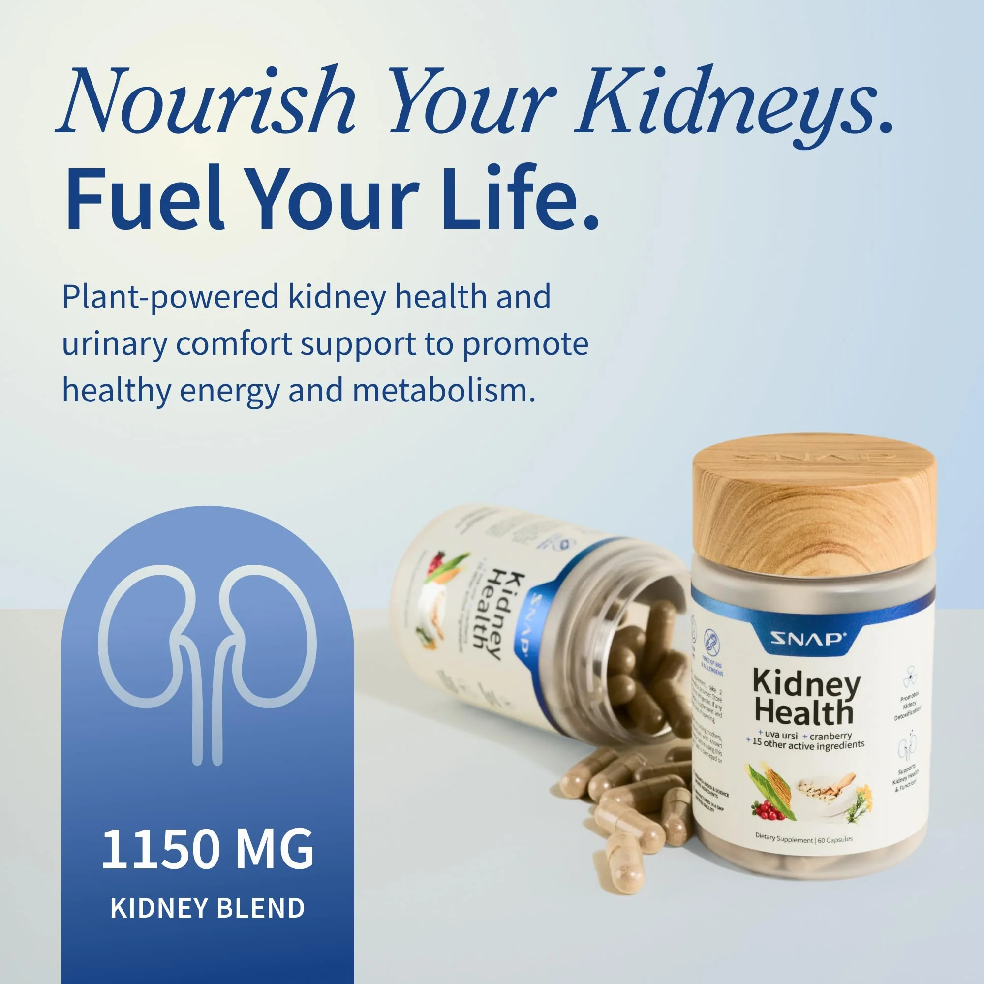 Snap Supplements Kidney Health Support Supplement - Kidney and Urinary Tract Health Support for Women and Men, 60 Vegetarian Capsules (30 Servings, 1 Month Supply) - Image 2