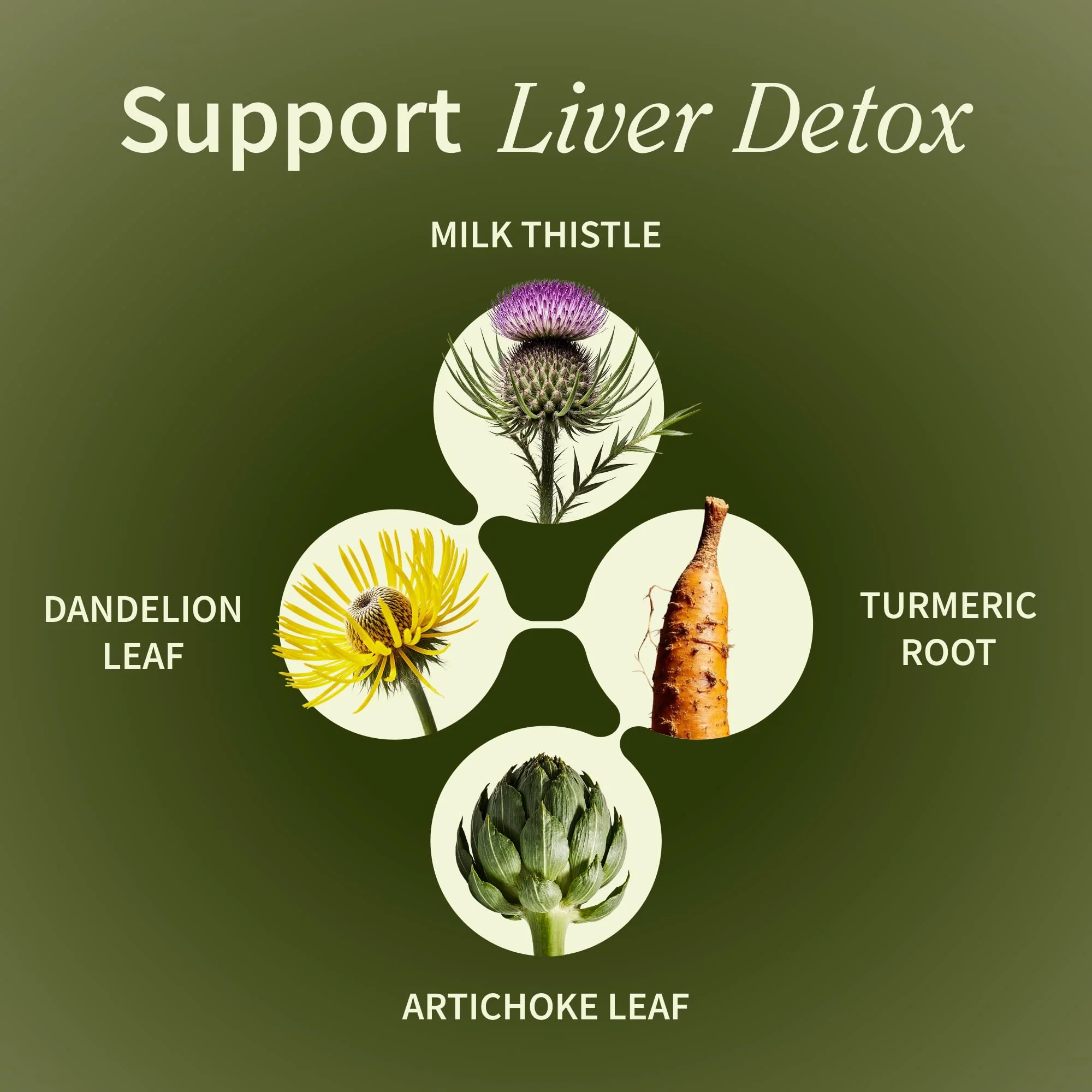 Snap Supplements Liver Health & Detox - Milk Thistle Supplement Supports Healthy Liver and Digestive Health, 60 Vegetarian Capsules (1 Month Supply) - Image 9