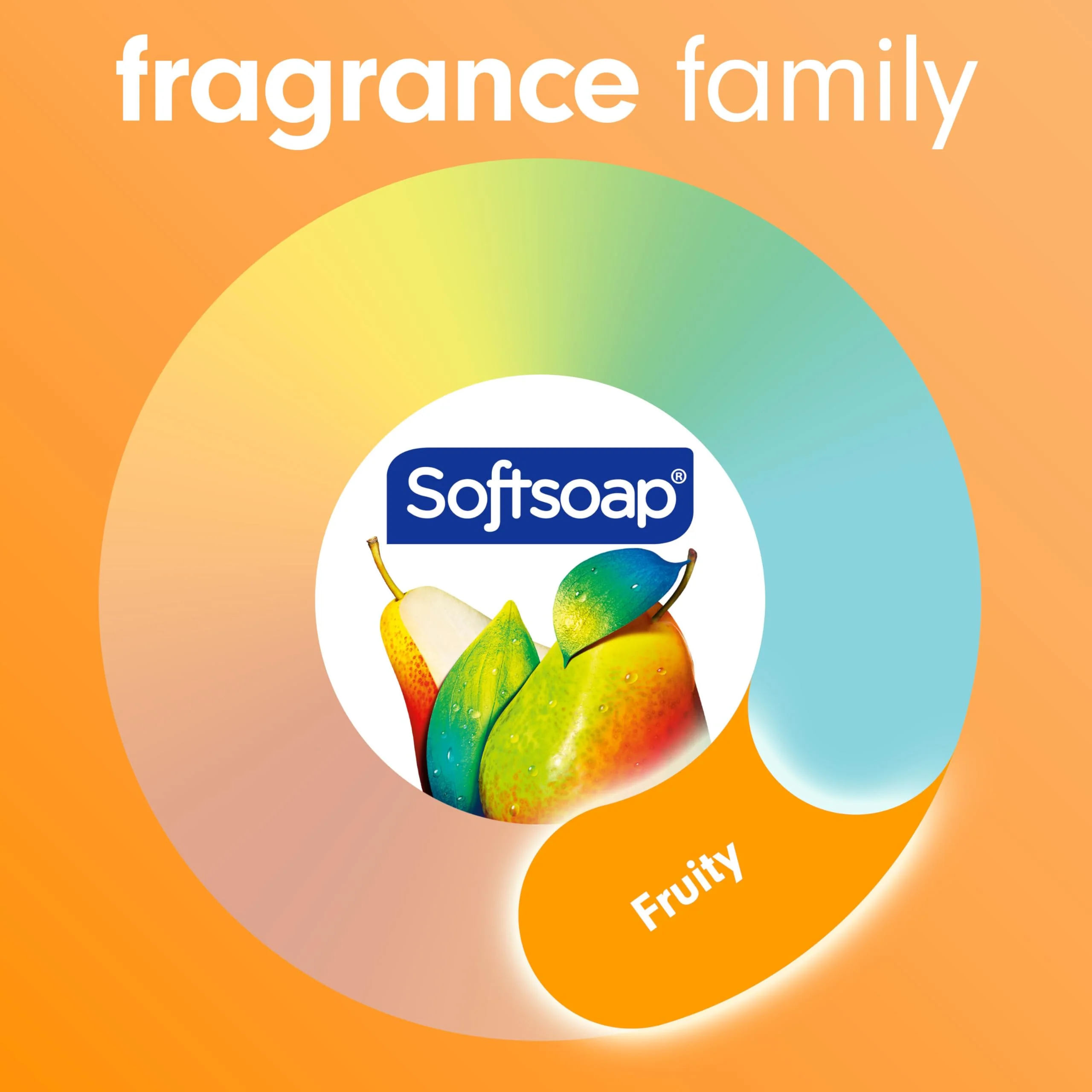 Softsoap Antibacterial Liquid Hand Soap, Crisp Clean Scent, 11.25 Ounce, 6 Pack - Image 5