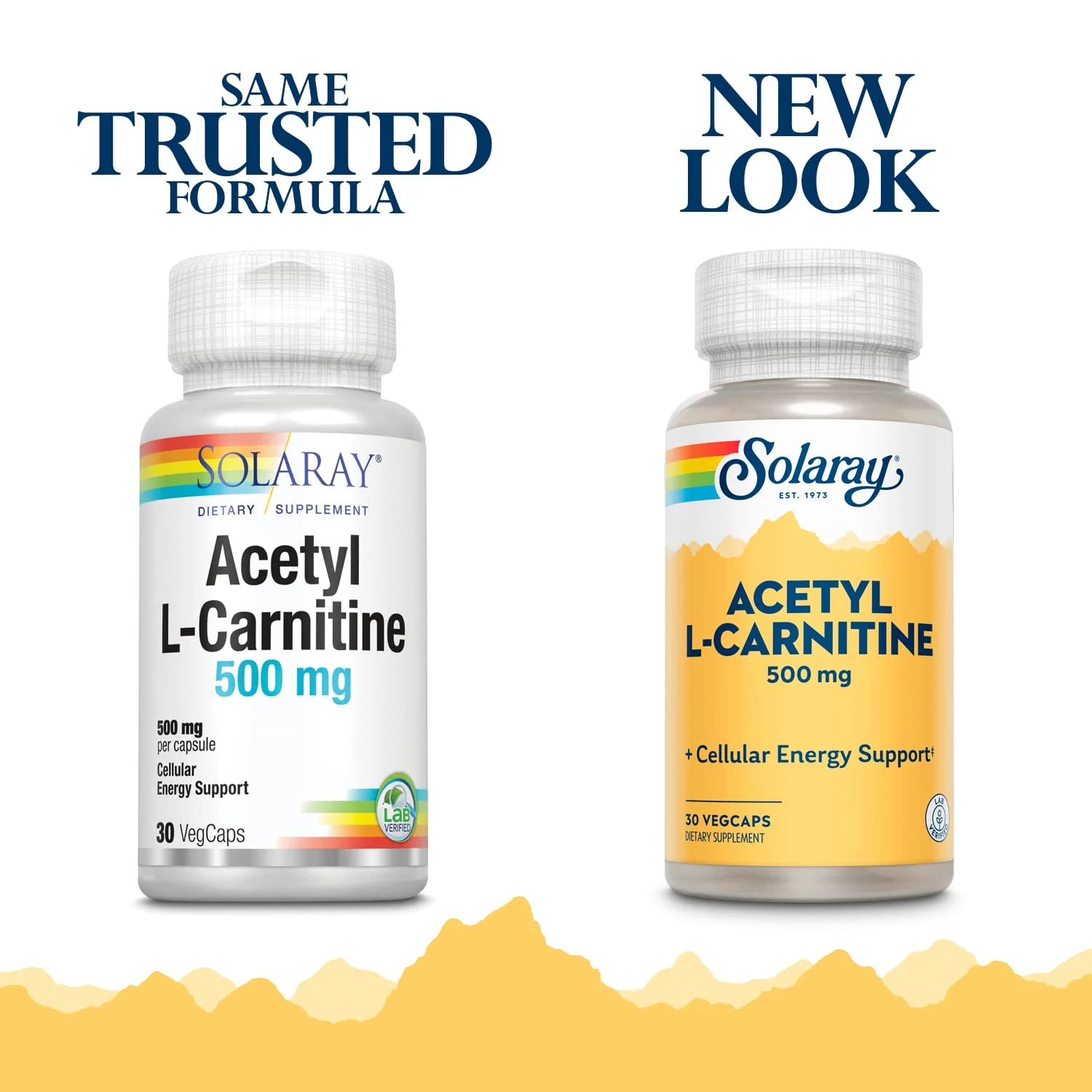 SOLARAY Acetyl L-Carnitine 500 mg | Healthy Cellular Energy, Memory, Mood, and Cardiovascular Support | 30 VegCaps - Image 3