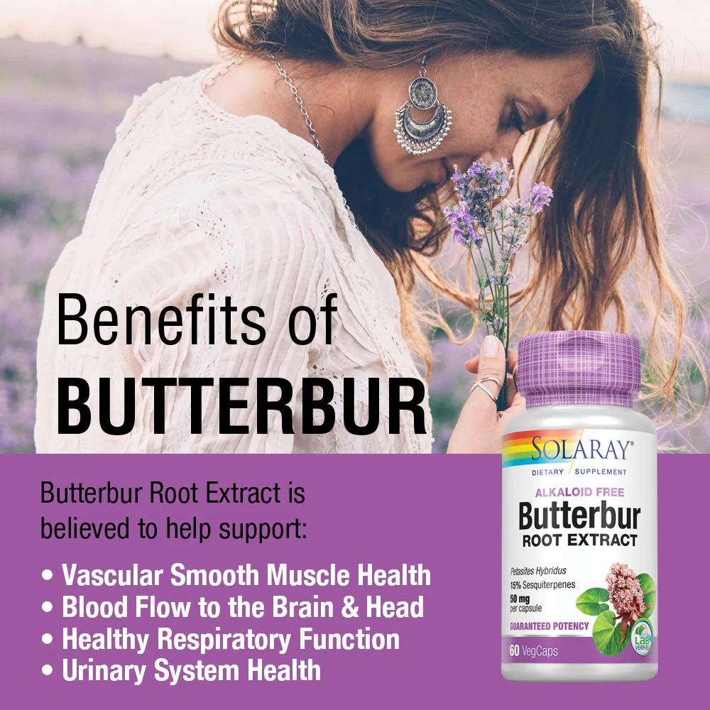 SOLARAY Butterbur Root Extract 50 mg Supplement for Men & Women - Powerful Herbal Support, Vegan Butterbur Capsules - 60 Veg Caps - Image 4