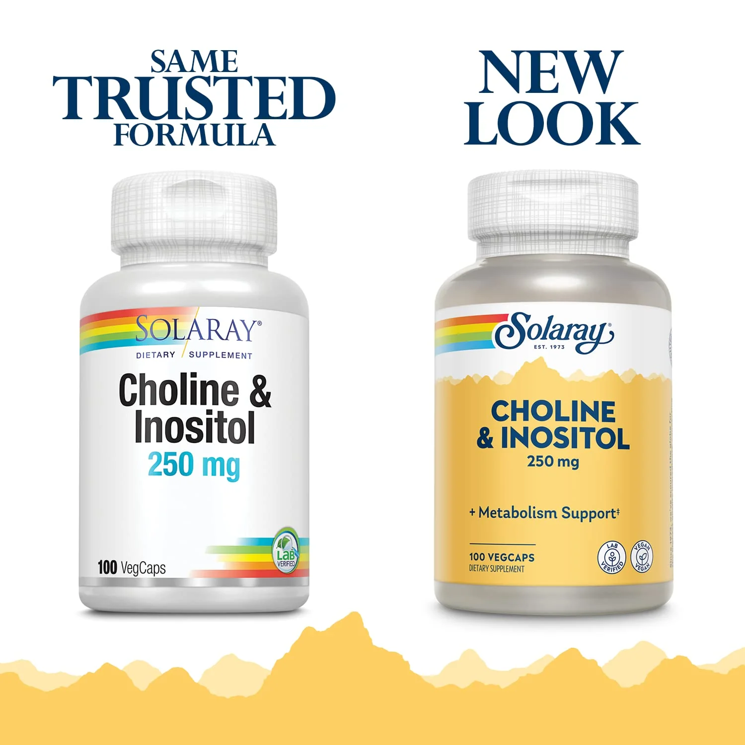 SOLARAY Choline & Inositol 250 mg | Two-Nutrient Combo for Healthy Fat Metabolism, Brain Function Support | 100 VegCaps - Image 2