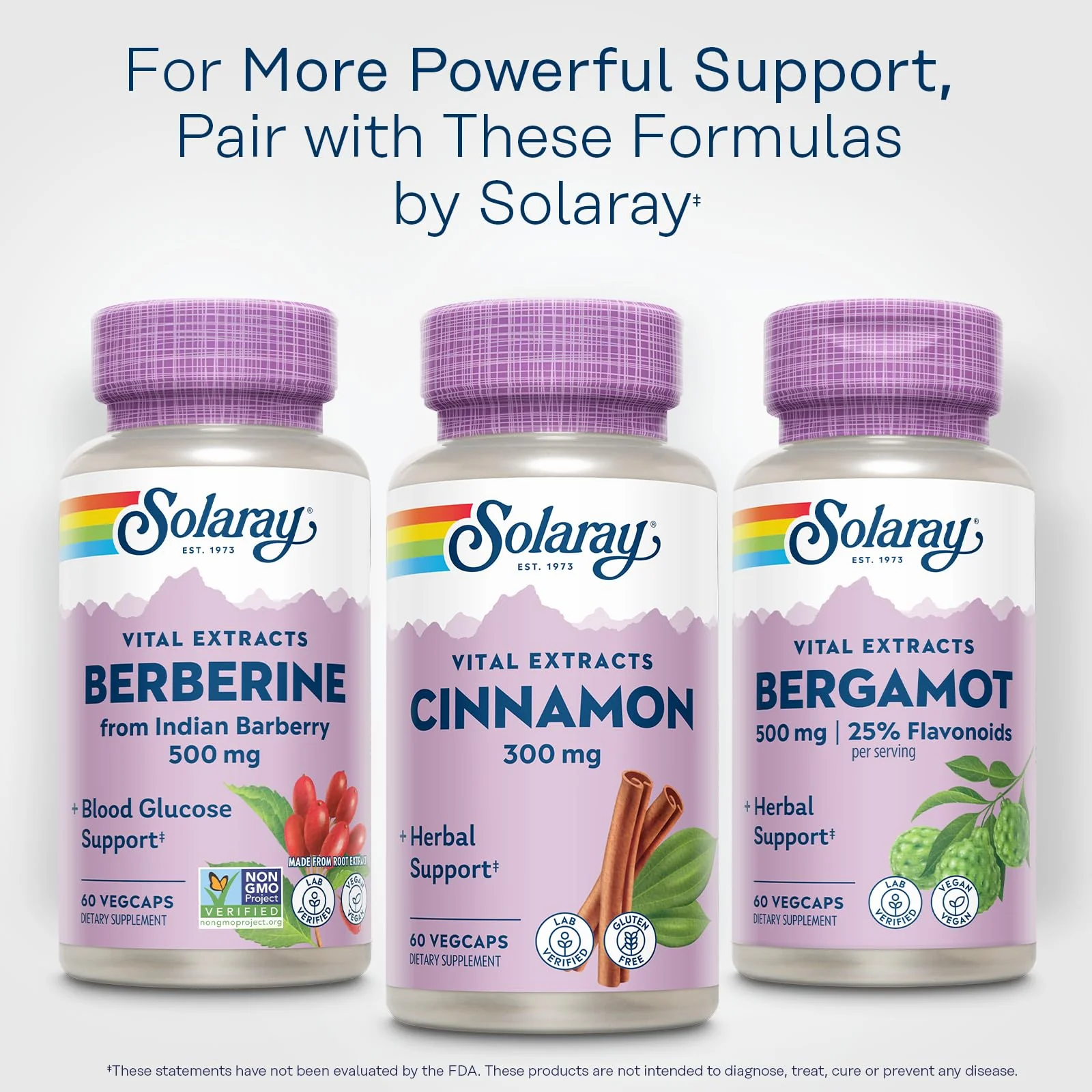 SOLARAY Cinnamon Extract 300mg - Cinnamon Supplements for Balance - Herbal Support with 24mg Flavonoids - Lab Verified, Gluten Free, 60-Day Guarantee - 60 Servings, 60 VegCaps - Image 6