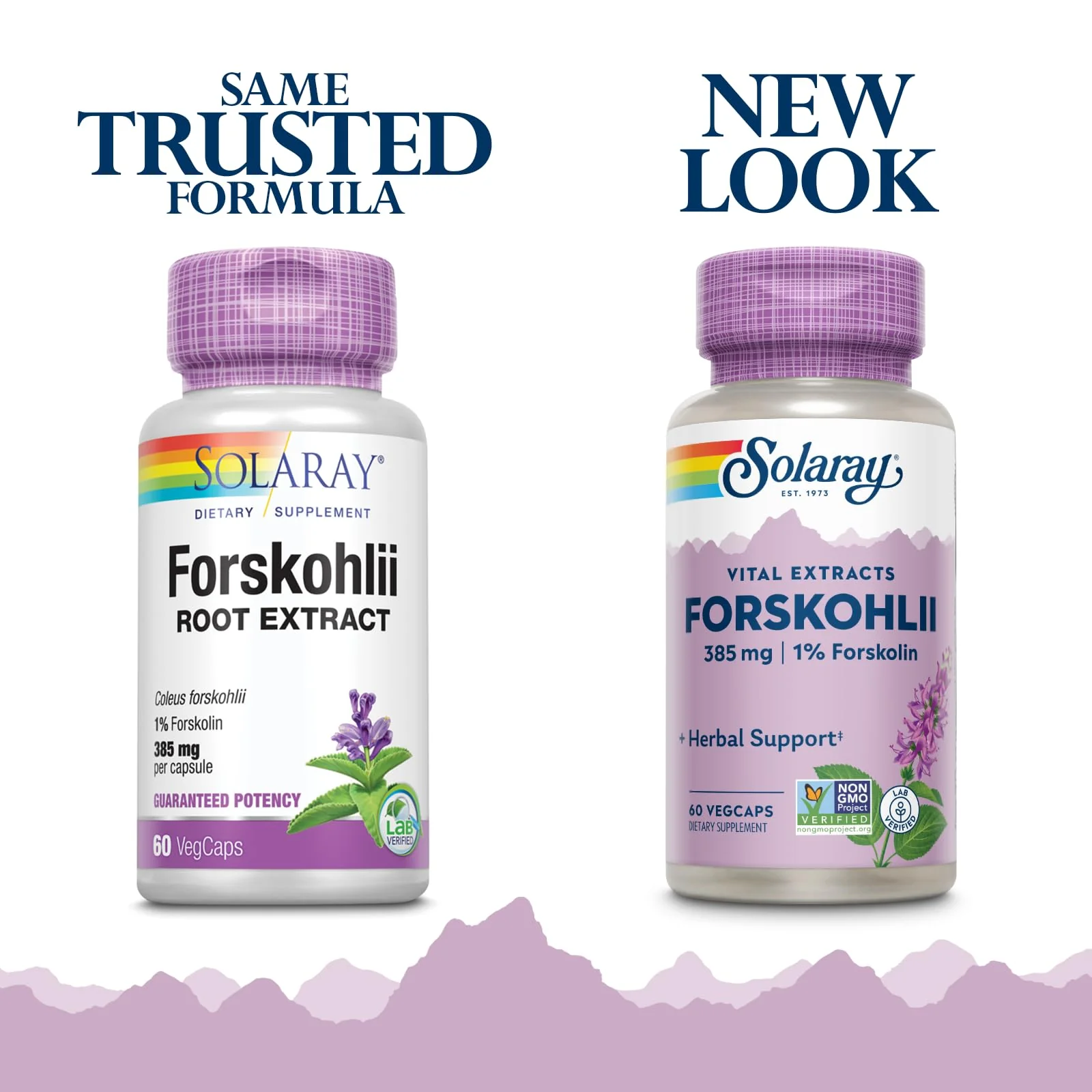 SOLARAY - Forskohlii, 385 mg | 60 Capsules - Image 2