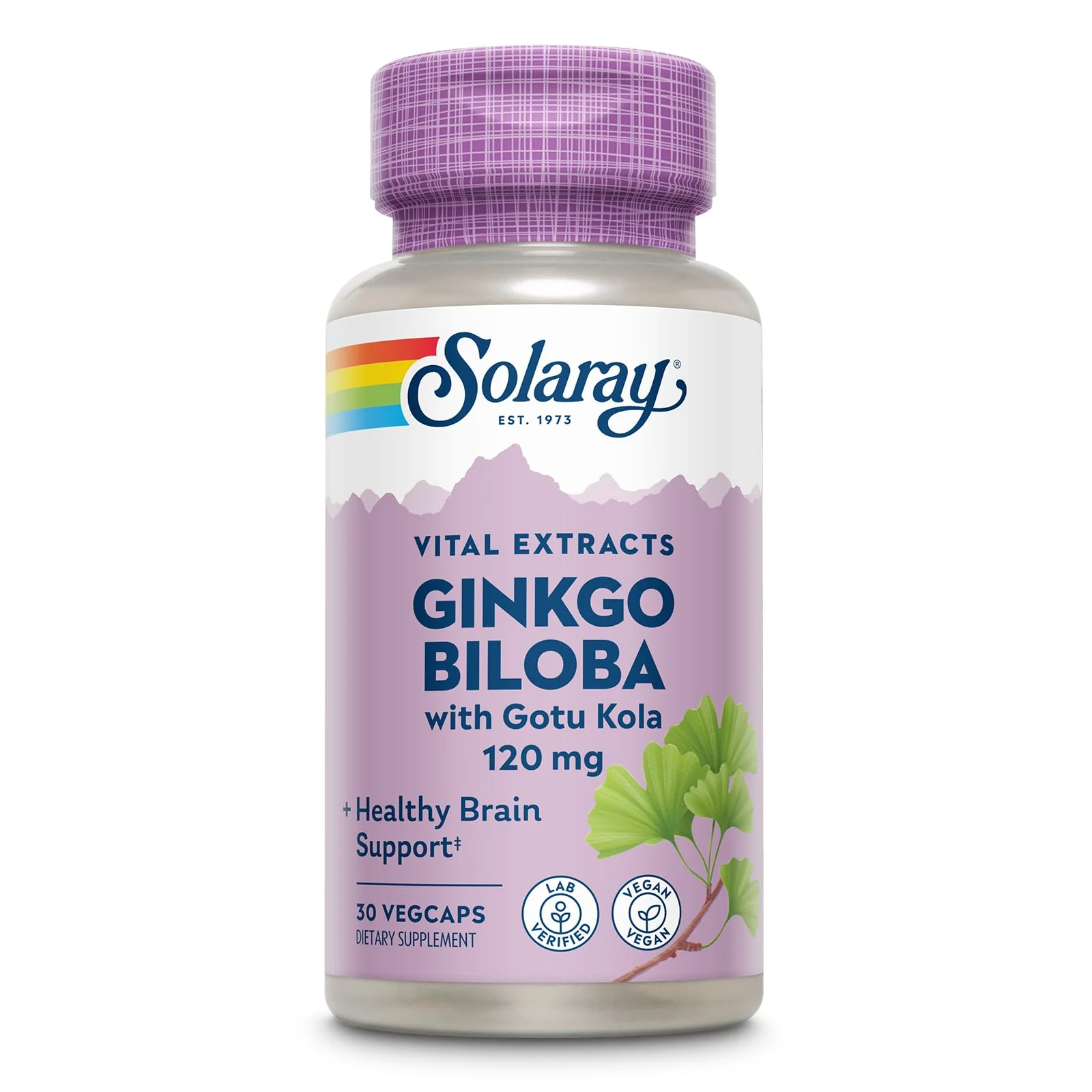 SOLARAY Ginkgo Biloba Extract with Gotu Kola - Ginko Biloba Capsules for Brain Health Support - Vegan, Lab Verified, 60-Day Guarantee - 60 Servings, 60 VegCaps (30 VegCaps)