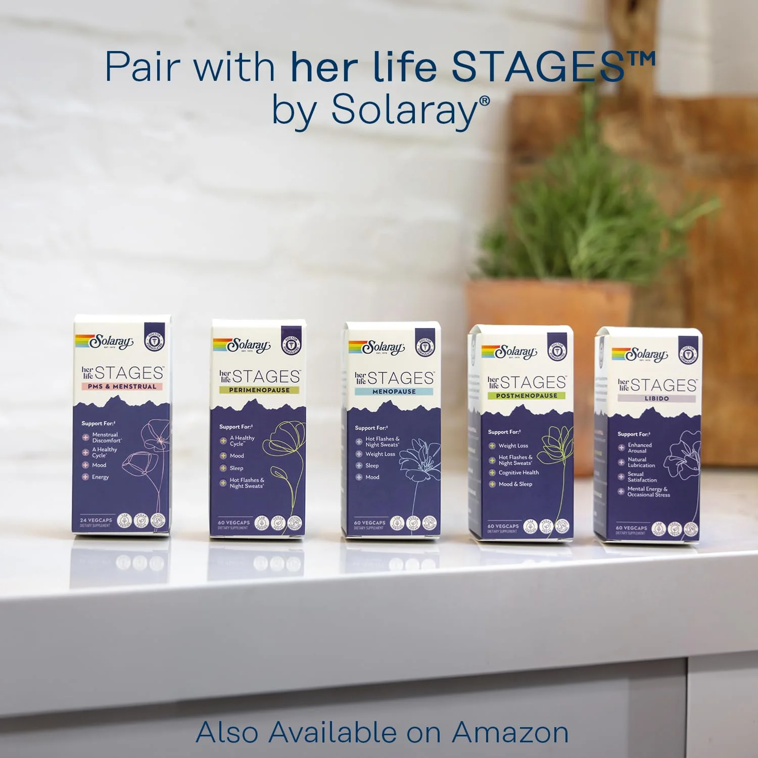 SOLARAY High Potency Evening Primrose Oil 500mg - Midlife Support - Source of Gamma Linolenic Acid and Linoleic Acid - No Solvents, Cold Pressed - 90 Servings, 90 Softgels - Image 6