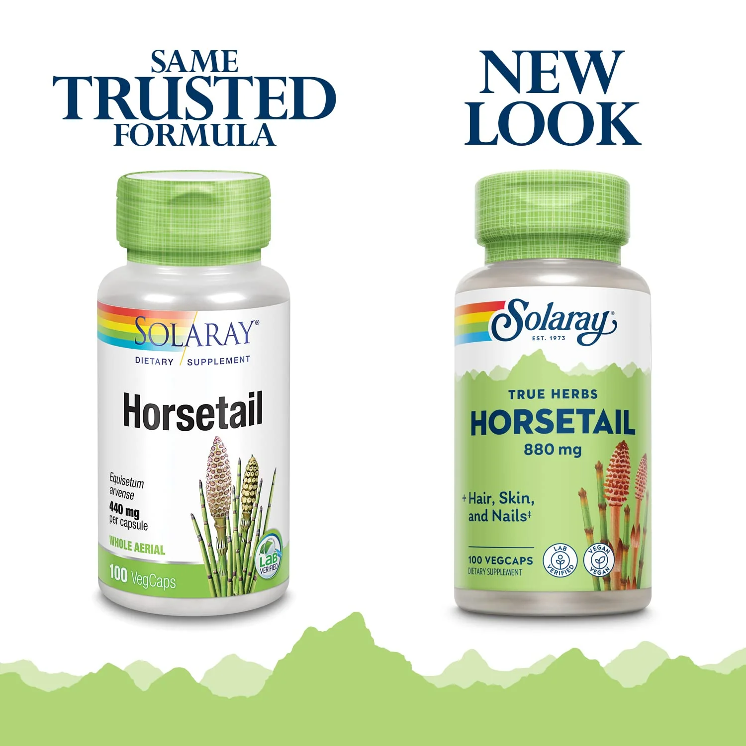 Solaray - Horsetail Shavegrass, 440 mg, 100 capsules - Image 2