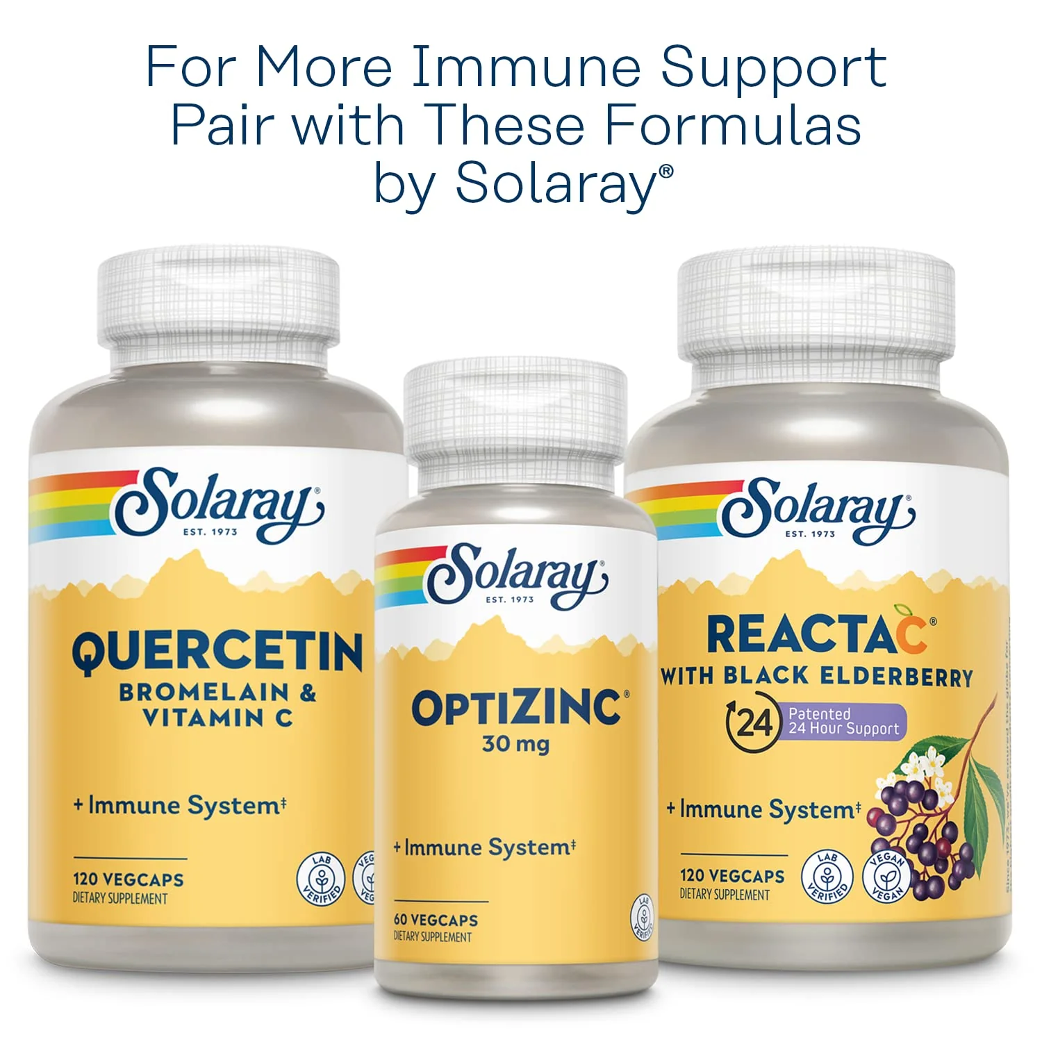 SOLARAY L-Lysine Monolaurin Immune Support Supplement, 1:1 Ratio for Immune System Function, 500 mg Each, 60-Day Money Back Guarantee, 30 Servings, 60 VegCaps - Image 7