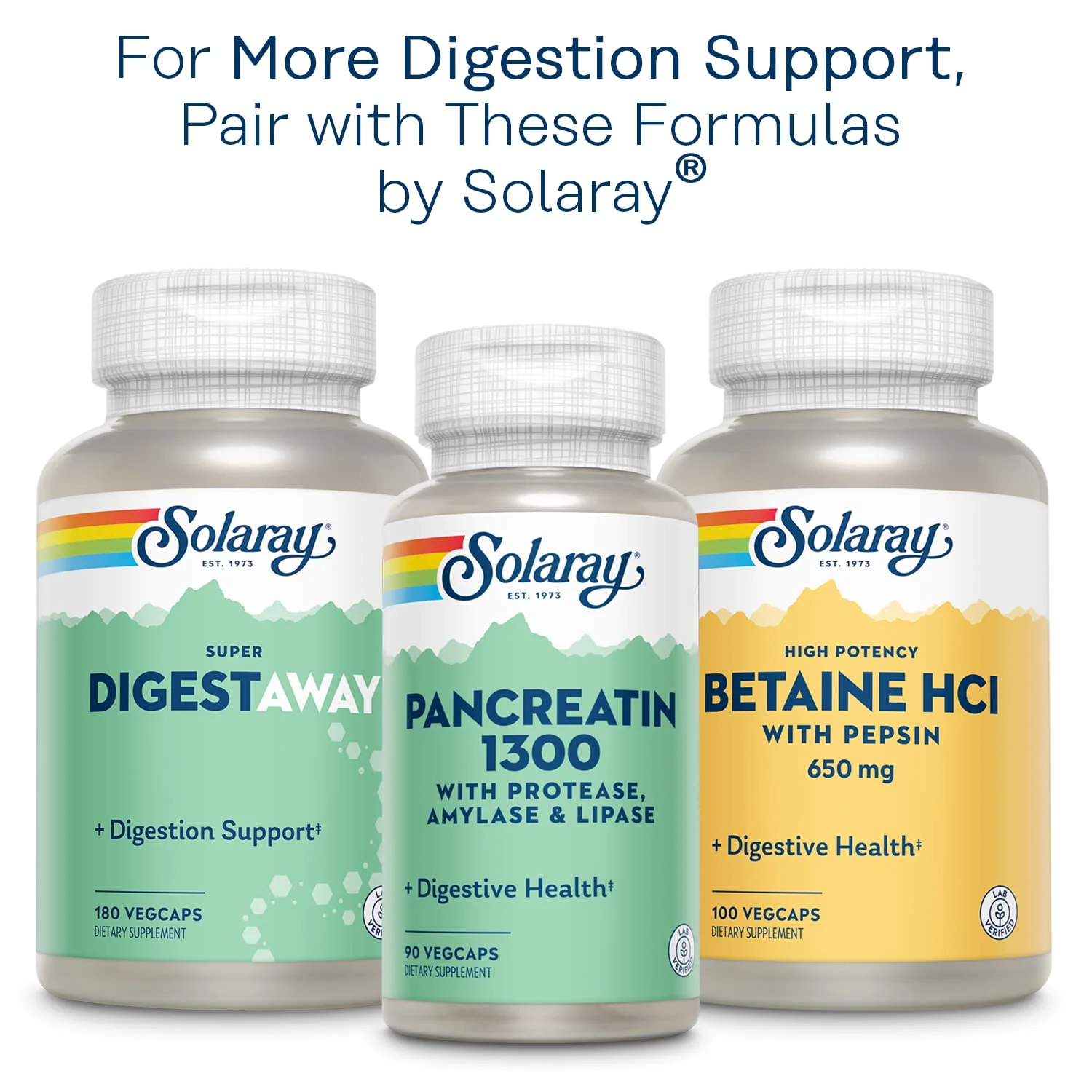 SOLARAY Mastic Gum Extract 500 mg 45 Count - Image 6