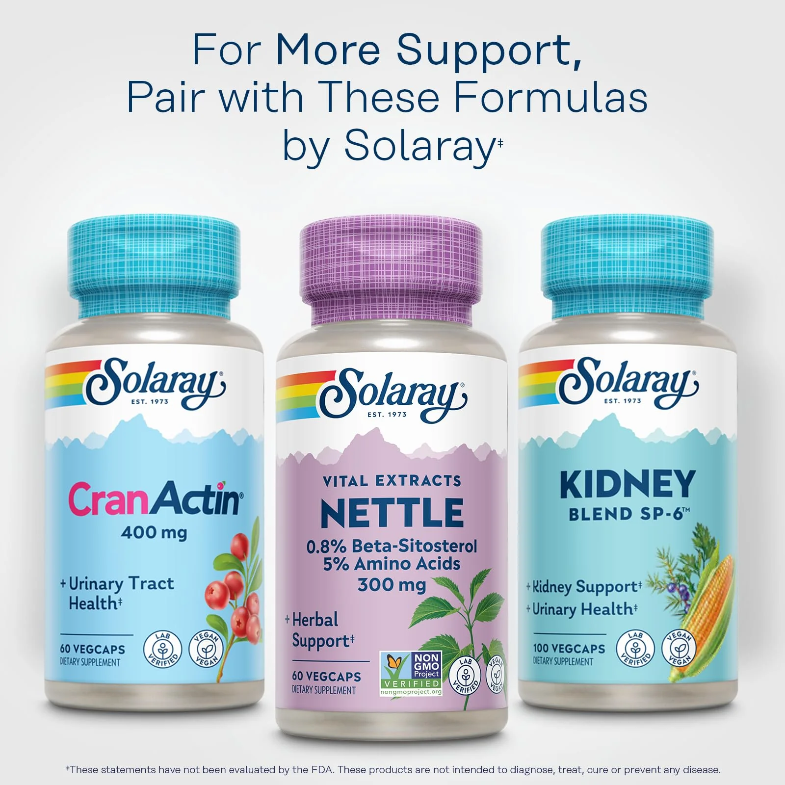 SOLARAY Nettle Root Extract 300 mg with Nettle Root 150 mg, Healthy Urinary & Prostate Support for Men with Amino Acids and Beta-Sitosterol, Vegan, 60-Day Guarantee, 60 Servings, 60 VegCaps - Image 6