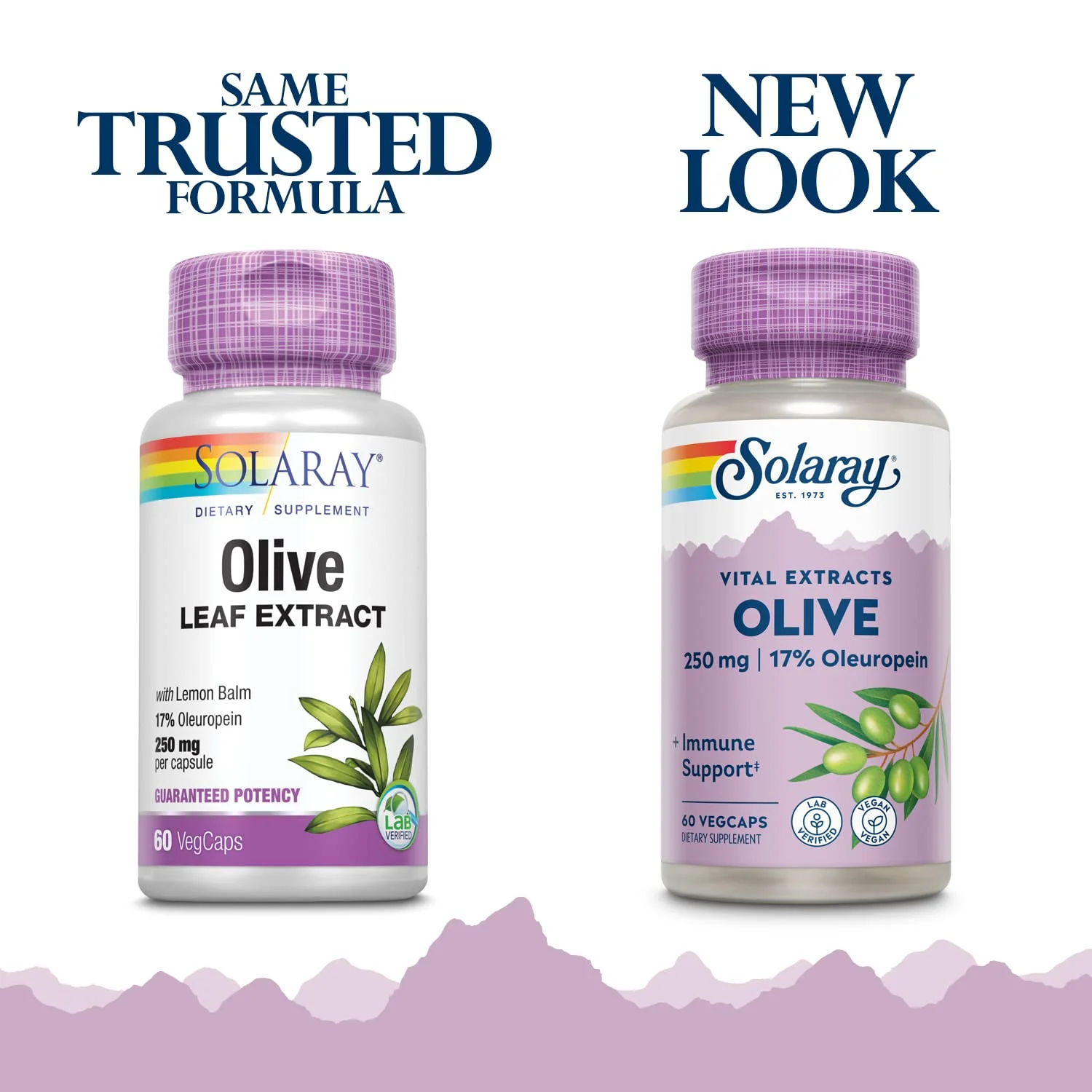 SOLARAY Olive Leaf Extract Supplement, 250mg | 60 Count - Image 2