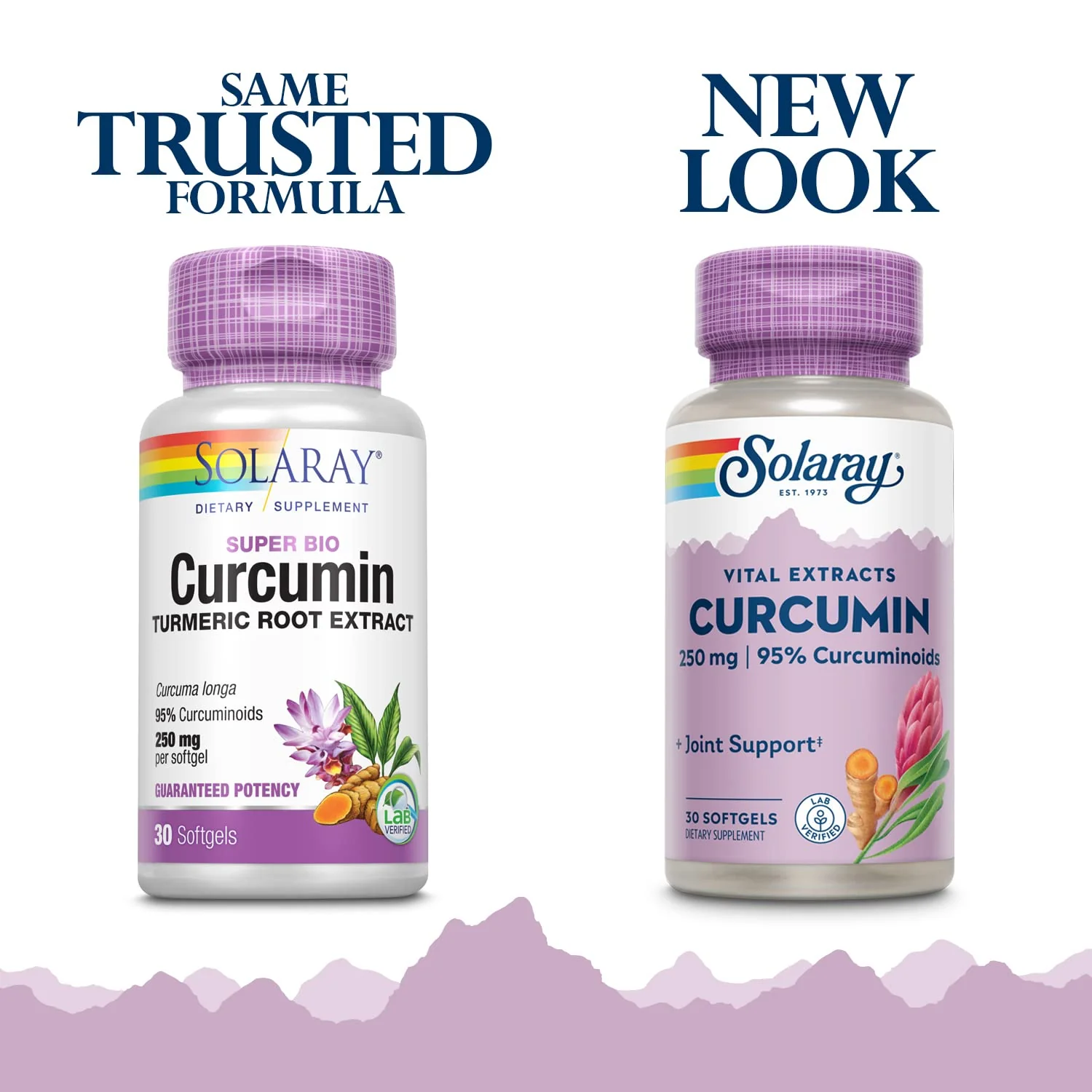 SOLARAY Super Bio Curcumin 250mg | Turmeric Root Extract, 95% Curcuminoids | Healthy Joint Support & More | 30 Softgels - Image 2