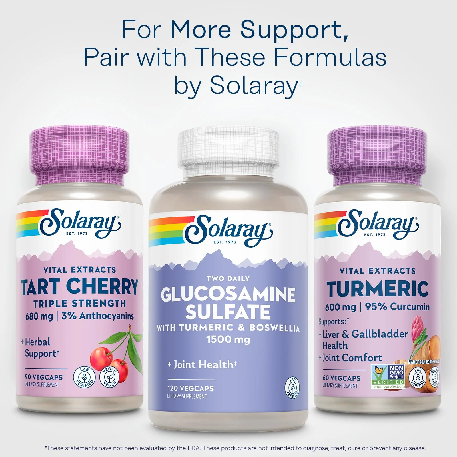 SOLARAY Turmeric Supplement 600mg - Turmeric Root with 95% Curcumin - Joint Support Supplement - Joint Health, Gallbladder and Liver Support, Non-GMO, Vegan, Gluten Free, 60-Day Guarantee, 60 Servings - Image 6