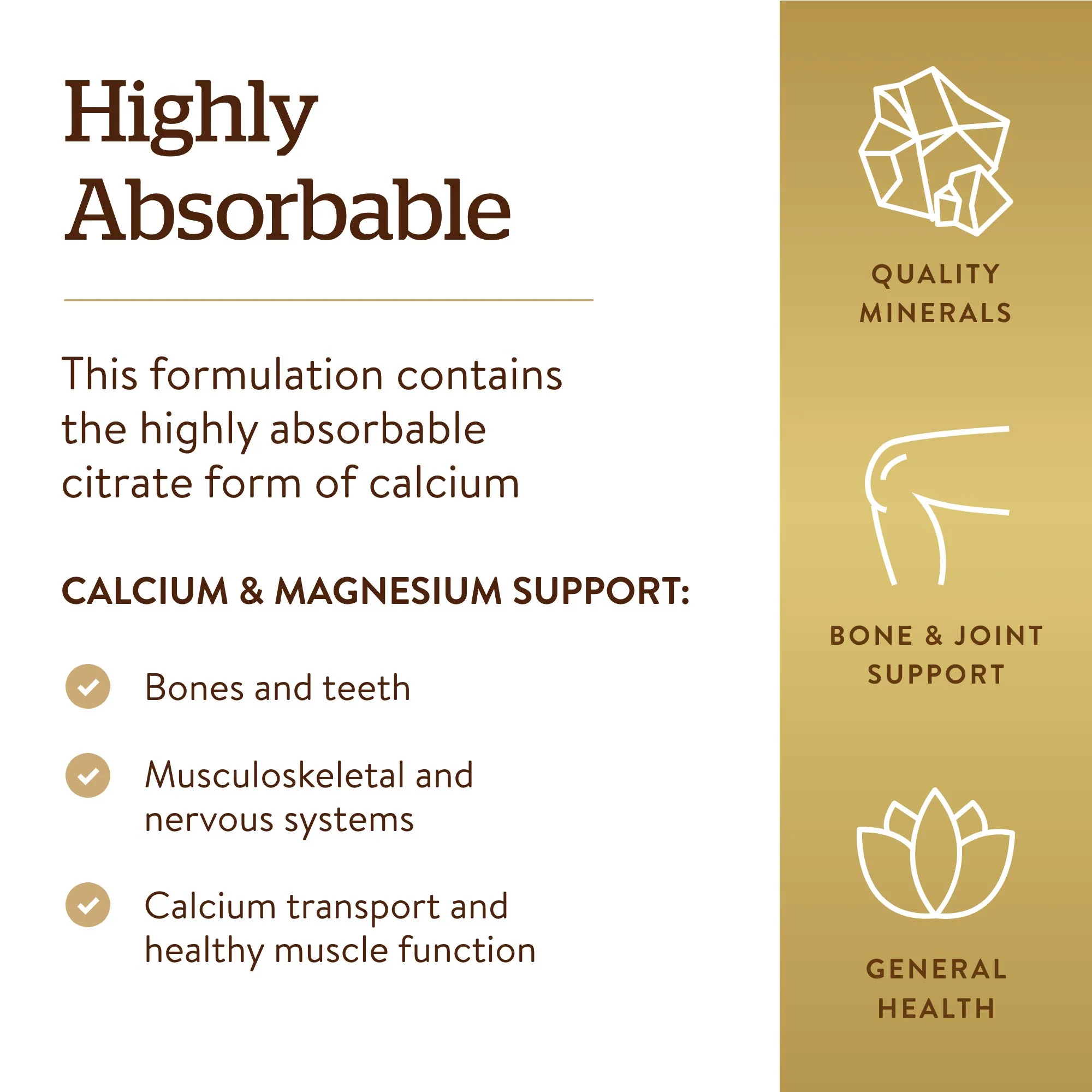 Solgar Calcium Magnesium Citrate, 250 Tablets - Supports Healthy Bones & Teeth - Musculoskeletal & Nervous System Support - Highly Absorbable - Non-GMO and Vegan - 50 Servings - Image 4