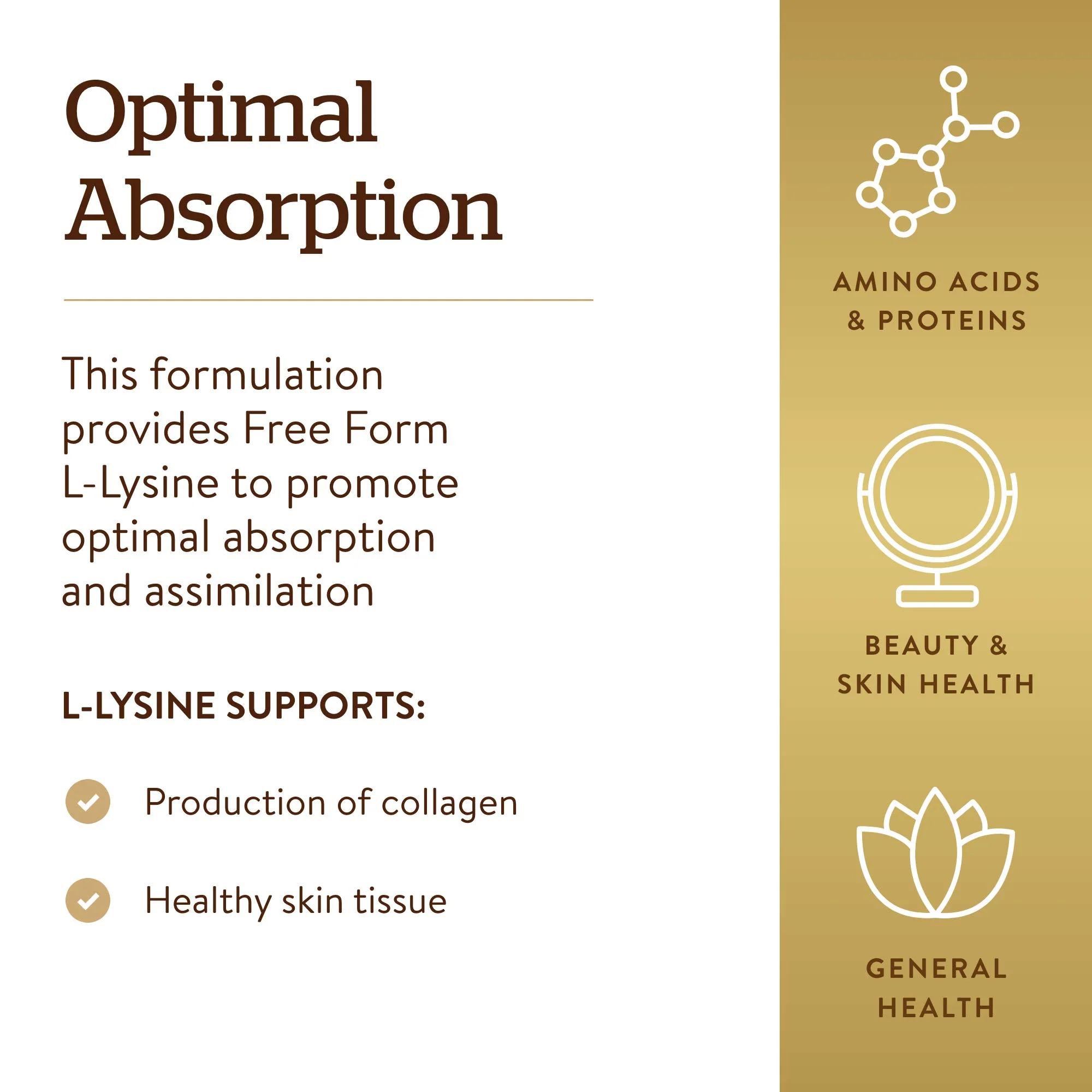 Solgar L-Lysine 1000 mg, 250 Tablets - Enhanced Absorption and Assimilation - Promotes Integrity of Skin and Lips - Collagen Support - Amino Acids - Non-GMO, Vegan, Gluten Free - 250 Servings - Image 4