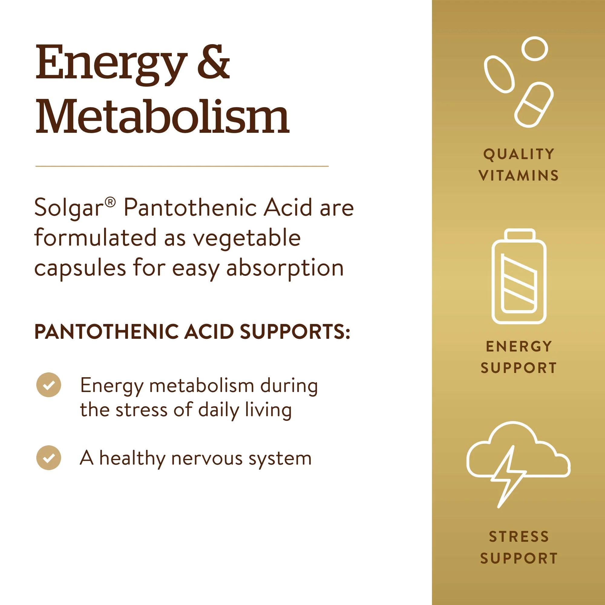 Solgar Pantothenic Acid 550 mg Vegetable Capsules Vitamin B5 Energy Metabolism Nervous System Support Gluten Free Dairy Free Kosher Servings, Standard Packaging, 100 Count - Image 4