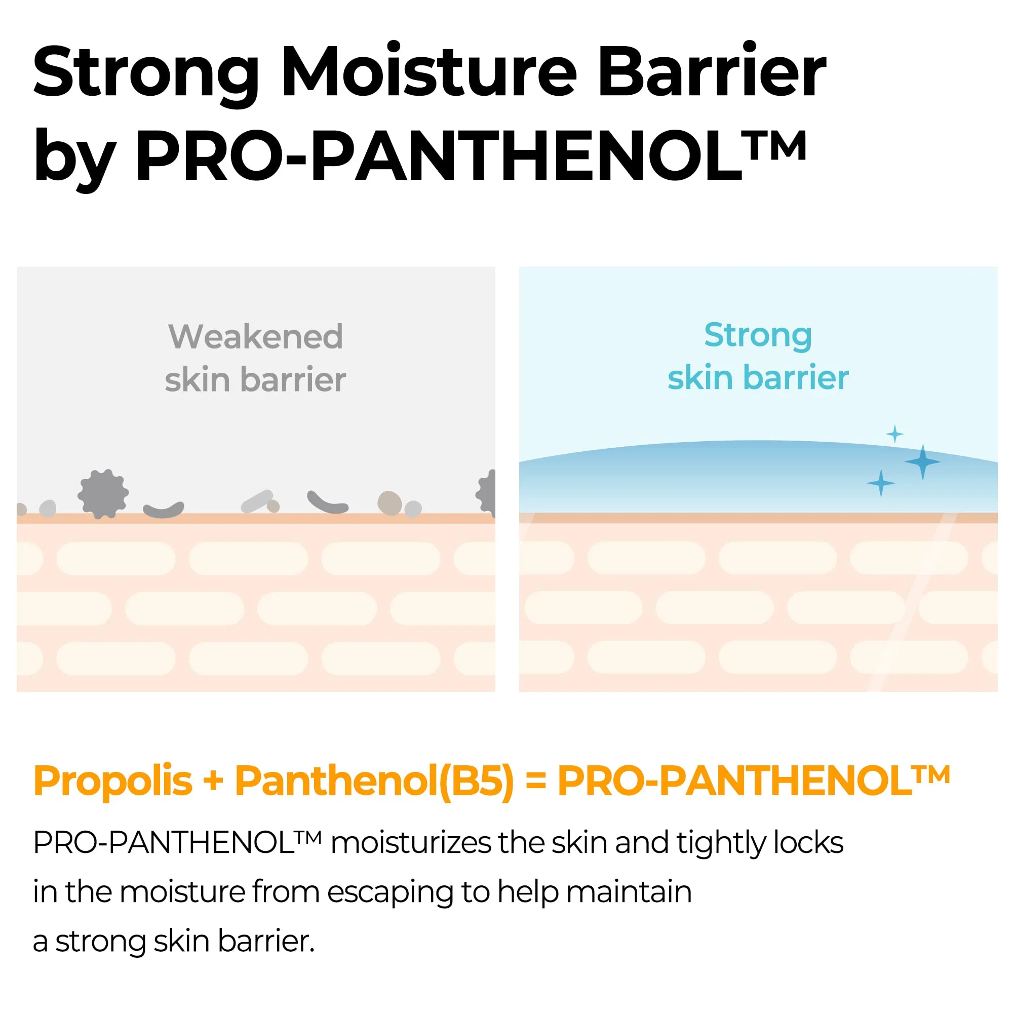 SOME BY MI Propolis B5 Glow Barrier Calming Toner / 5.07Oz, 150ml / Strengthen Skin Barrier with Honey Extracts/Brightening and Skin Calming Effect, Sebum and Pimple Care/Facial Skin Care - Image 4