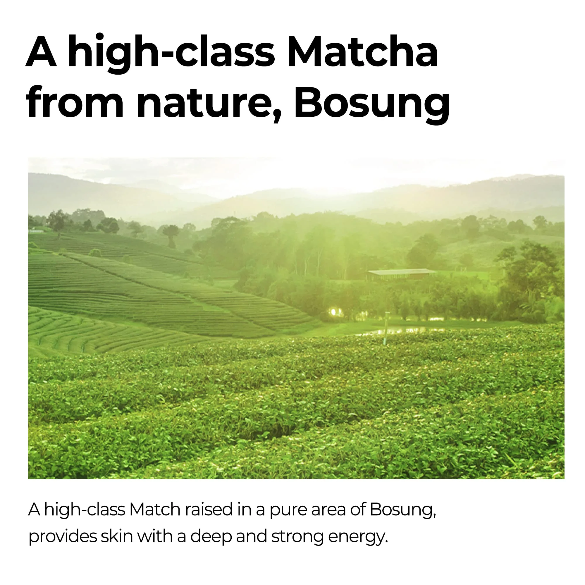 SOME BY MI Super Matcha Pore Clean Cleansing Gel - 3.38Oz, 100ml - Made from Matcha Extracts for Sensitive Skin - Mild Daily Face Wash for Pore Tightening, Sebum and Blackheads Care - Korean Skin Care - Image 3