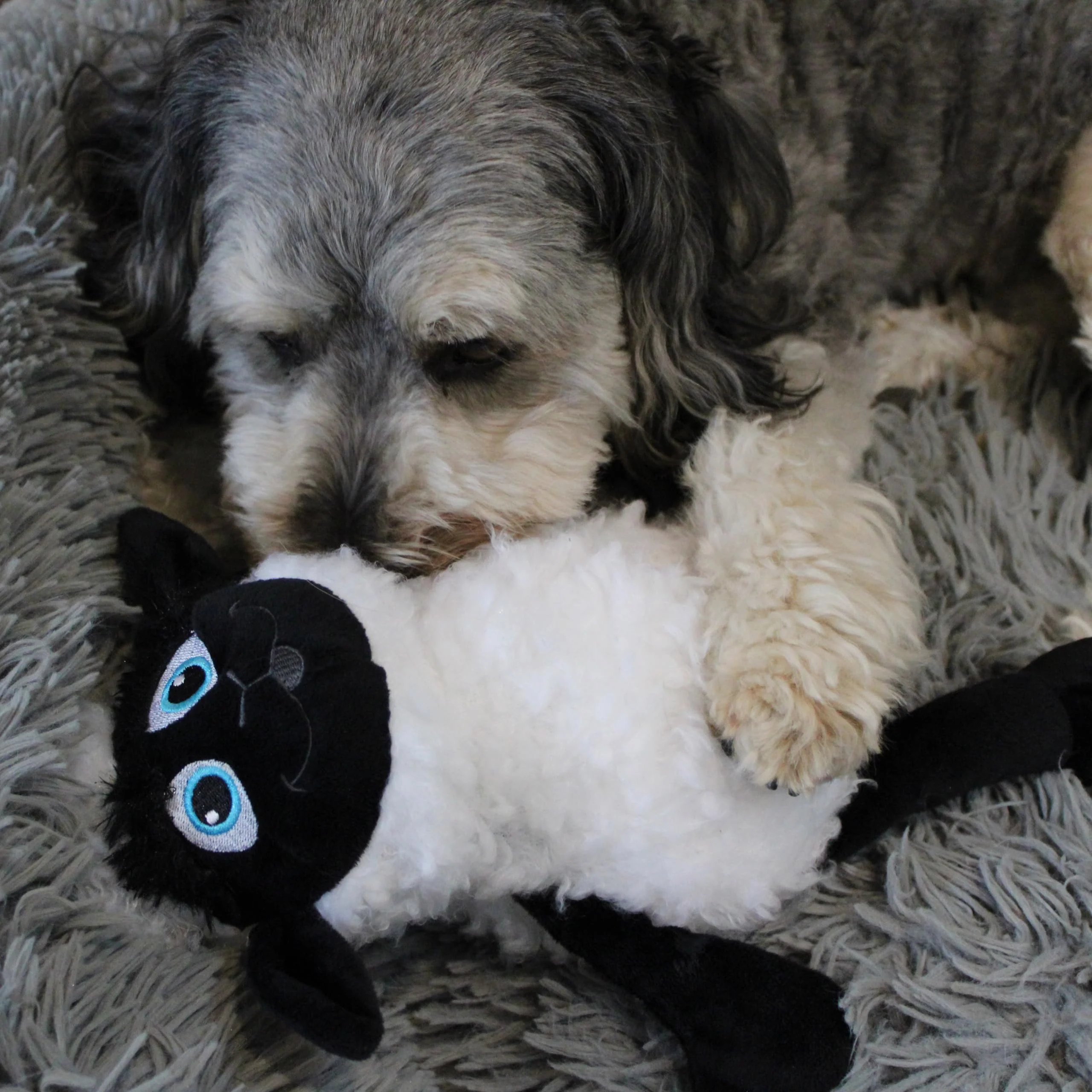 SPOT Baa Baa Black Sheep Plush Dog Toy - Cute and Cuddly Fleece Toy with Squeaker for Medium to Large Dogs and Puppies, 13in Black and White Lamb - Image 13