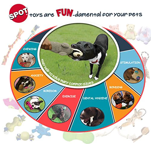 SPOT Dura-Fused Leather Bone- Durable Dog Toy with Squeaker, Real Leather & Jute Fabric, Interactive Toy for Moderate & Aggressive Chewers, Medium & Large Dogs and Puppies, 9 inch - Image 2