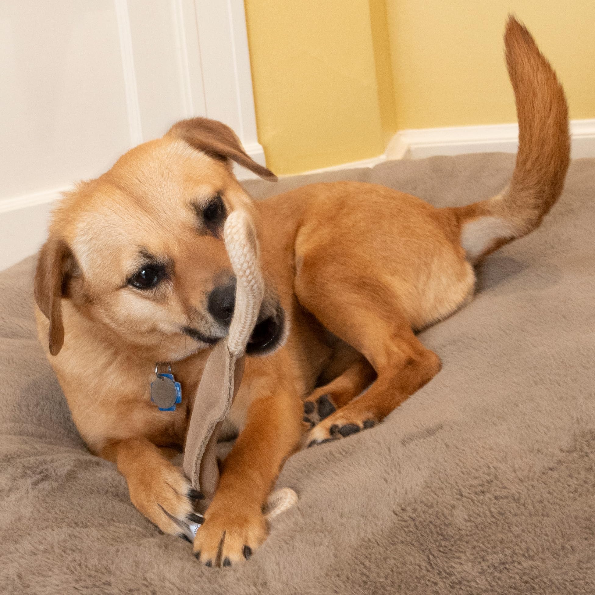 SPOT Dura-Fused Leather Bone Tug Dog Toy – Durable Real Leather & Jute Chew Toy with Double Rope Handles & Squeaker, For Moderate Chewers, 18in - Image 8