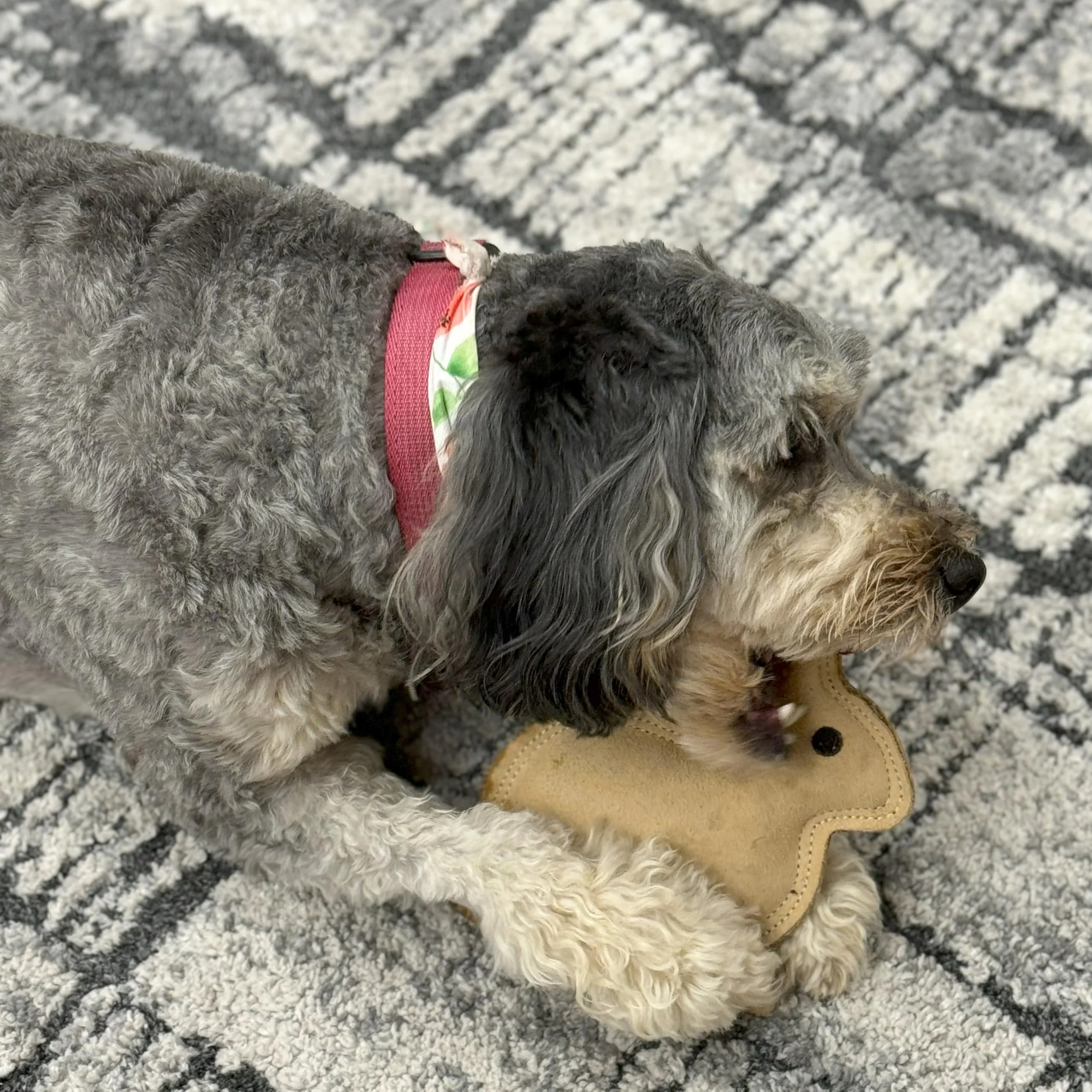 SPOT Dura-Fused Leather Rabbit Dog Toy – Durable Real Leather & Jute Chew Toy with Squeaker, Double-Stitched for Moderate Chewers, Small & Medium Dogs, 7.5in - Image 3