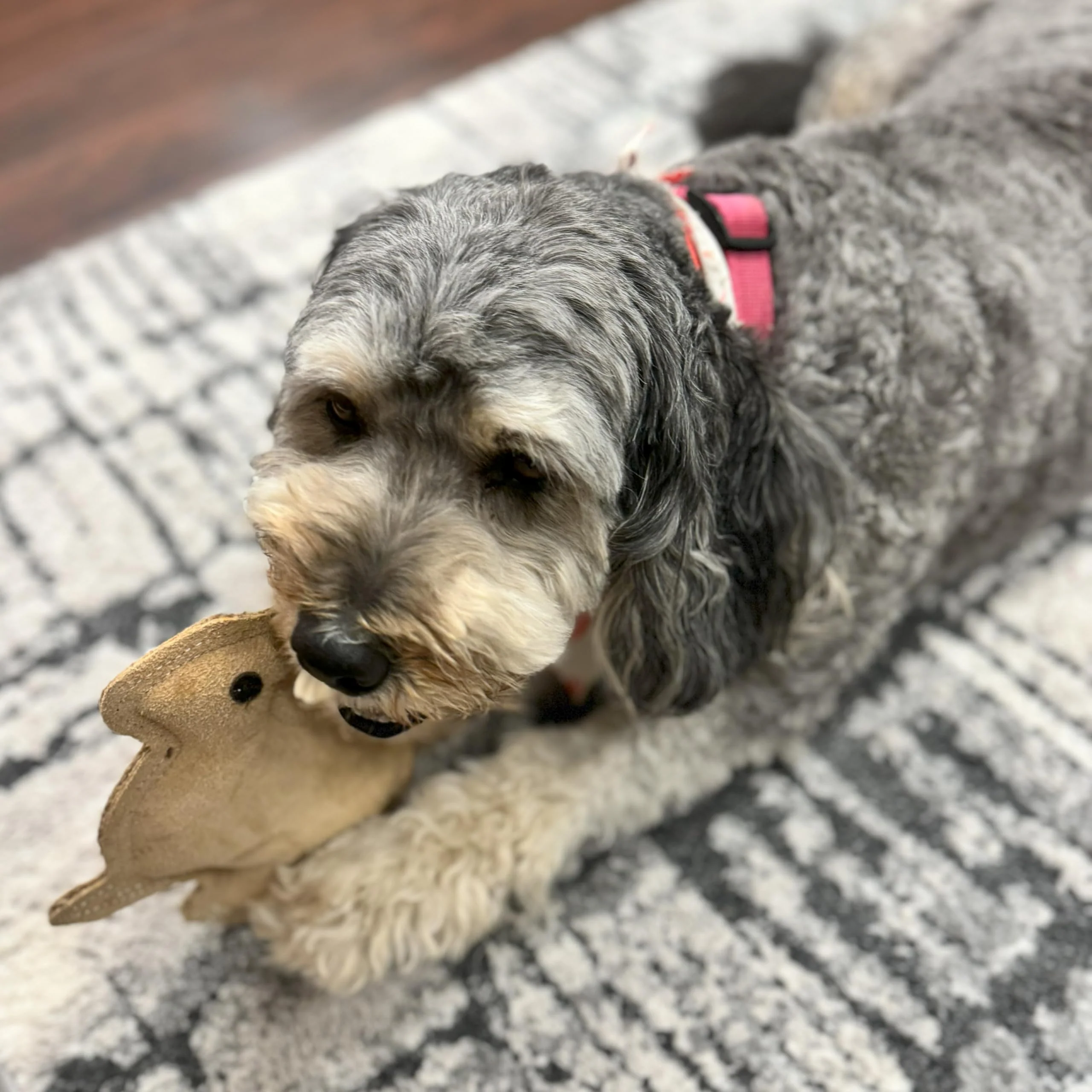 SPOT Dura-Fused Leather Rabbit Dog Toy – Durable Real Leather & Jute Chew Toy with Squeaker, Double-Stitched for Moderate Chewers, Small & Medium Dogs, 7.5in - Image 4