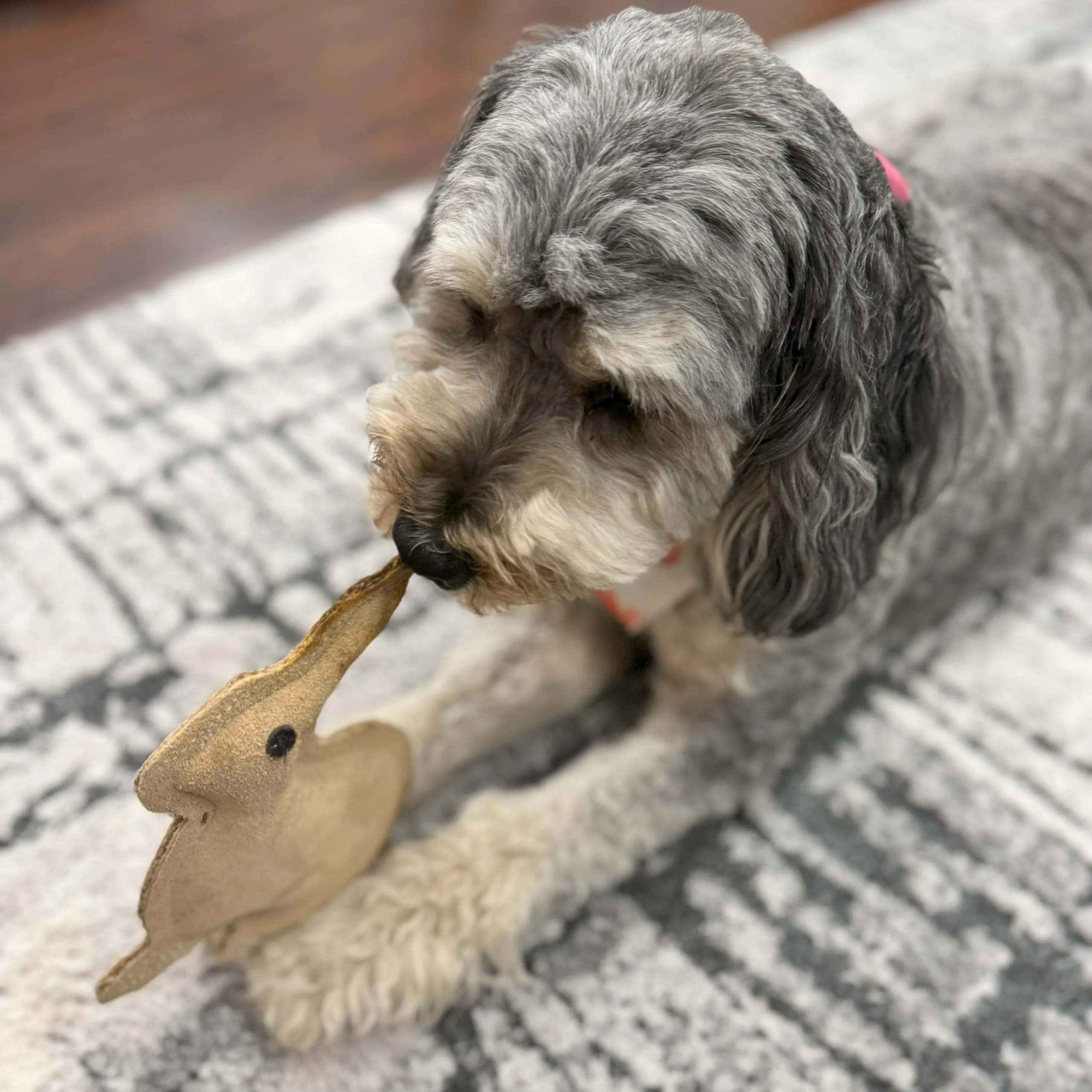 SPOT Dura-Fused Leather Rabbit Dog Toy – Durable Real Leather & Jute Chew Toy with Squeaker, Double-Stitched for Moderate Chewers, Small & Medium Dogs, 7.5in - Image 7