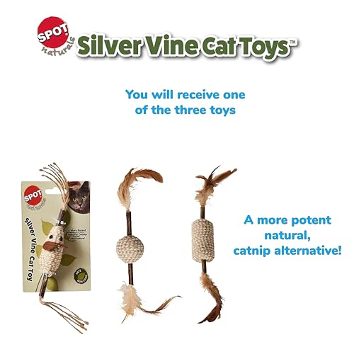 SPOT Naturals Silver Vine Cat Toy – Natural Interactive Enrichment for Cats, Stimulates Play and Reduces Stress, Durable and Safe, Perfect for Indoor Cats and Kittens, Assorted Styles, 1 Piece - Image 12