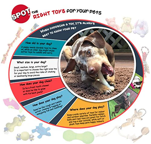 SPOT Play Strong Ball - Durable TPR Ball, Long Lasting Dog Toy for Aggressive Chewers, Hollow Center to Hide Treats, Virtually Indestructible Dog Toy for Dogs & Puppies up to 60lbs - 3.25 inch - Image 2